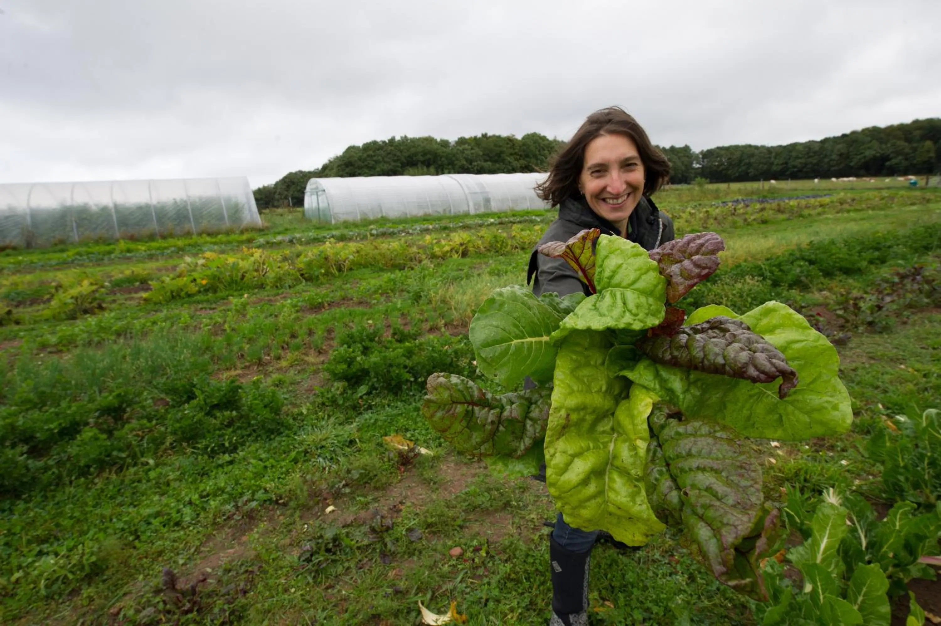 Garden in LindenGut Bio Hotel & Bio Herberge