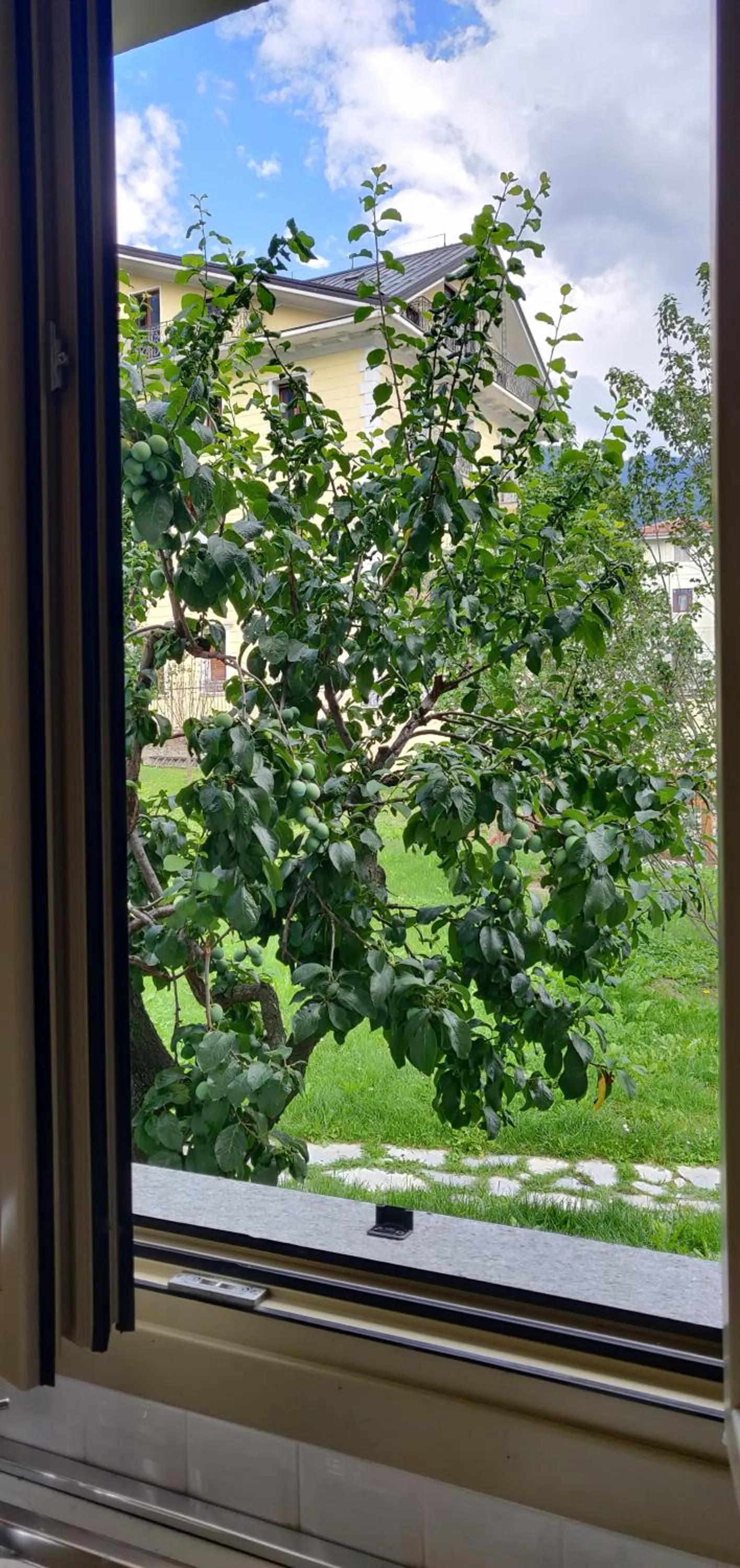 Garden view in Residence Saint-Vincent