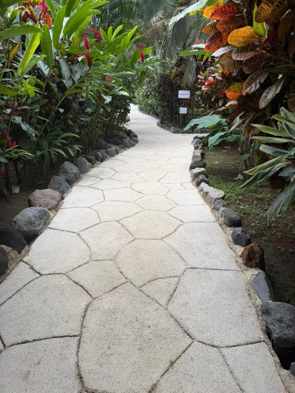 Garden in Orquideas Boutique Hotel