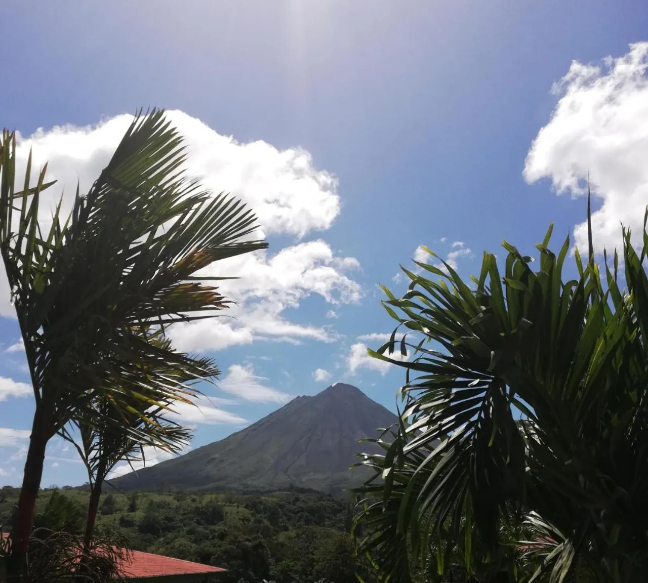 Garden in Orquideas Boutique Hotel