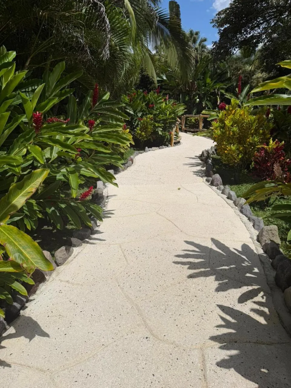 Garden view in Orquideas Boutique Hotel