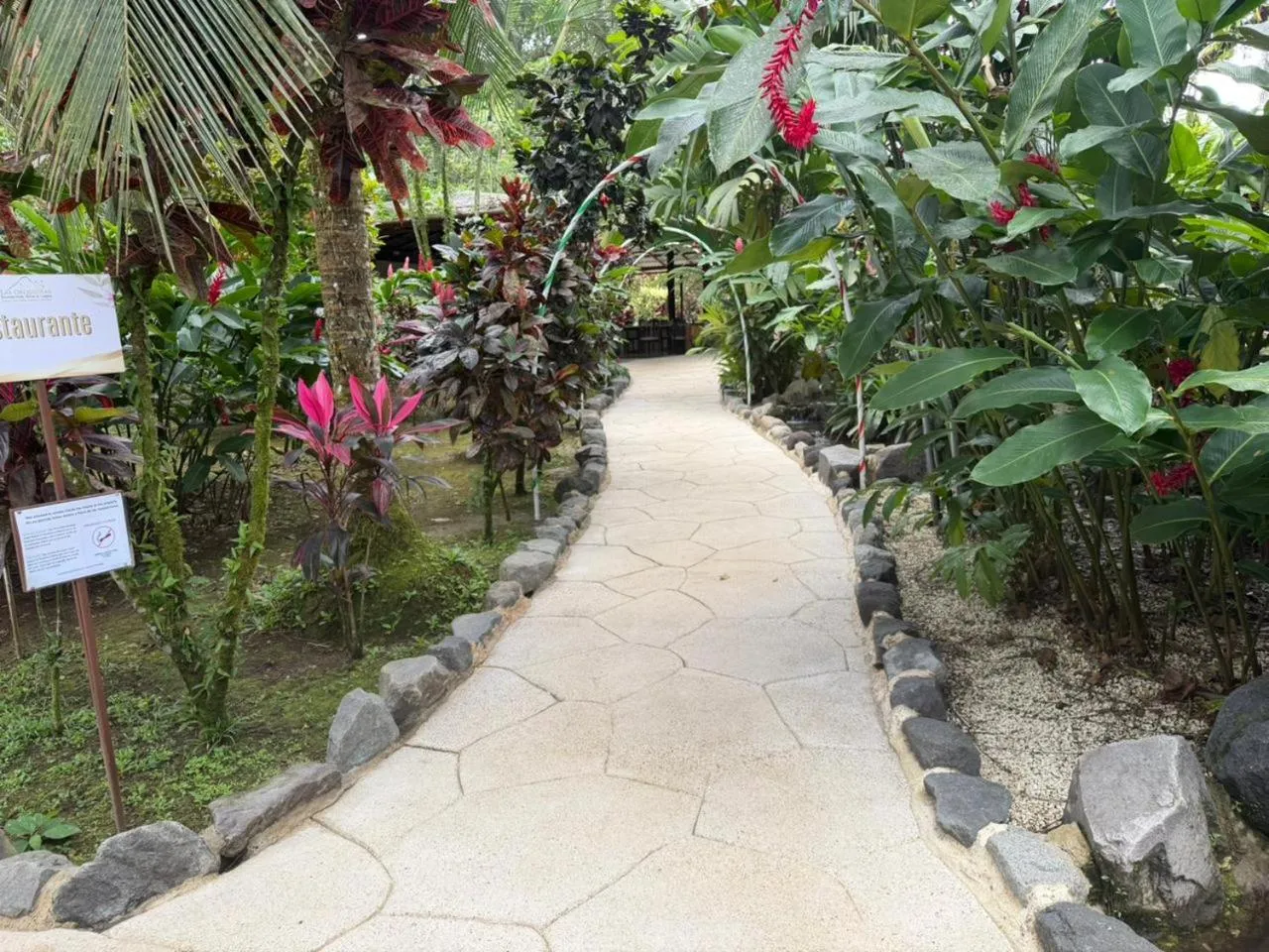 Garden in Orquideas Boutique Hotel