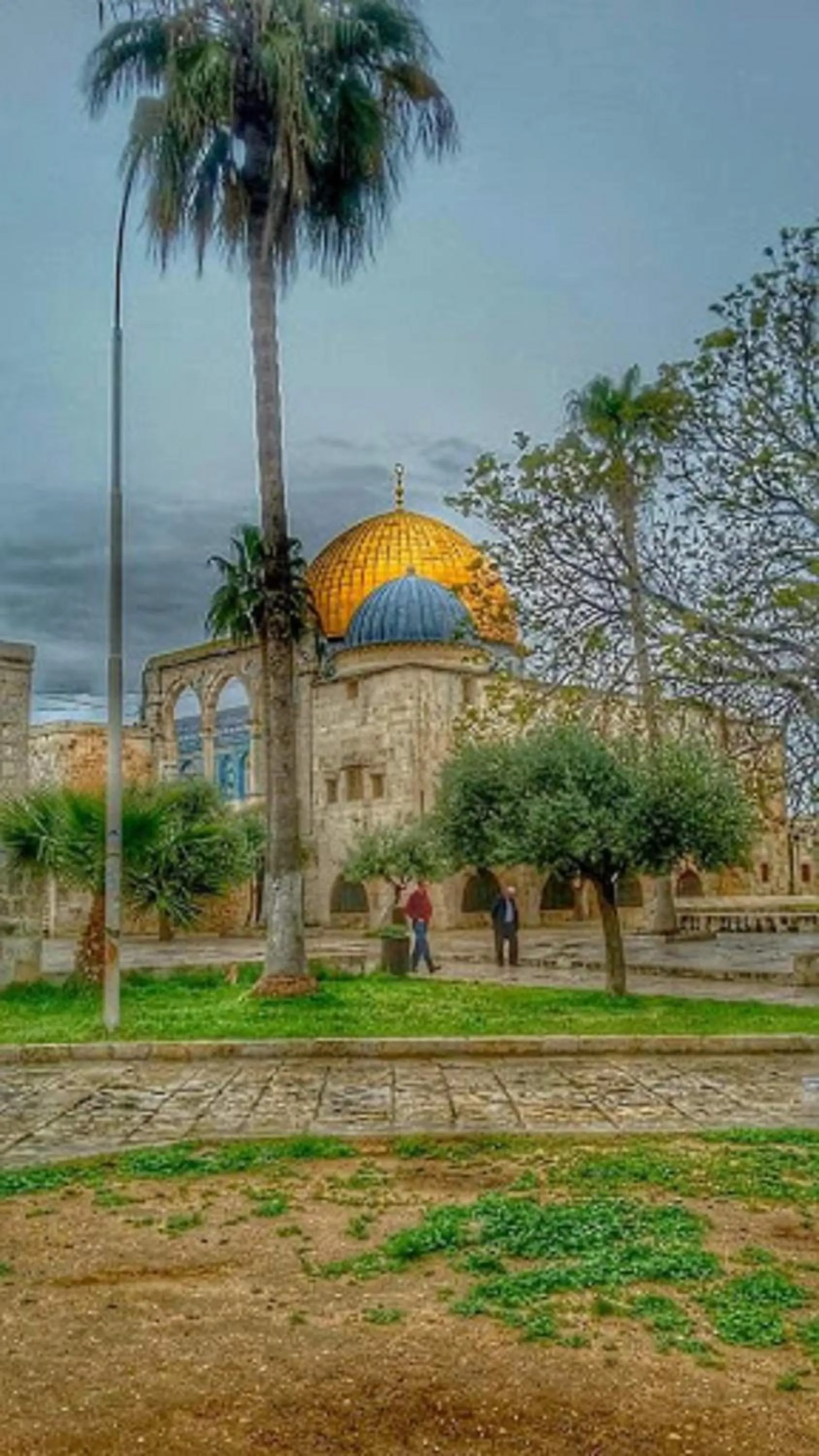 Other in Bab El-Silsileh Hostel