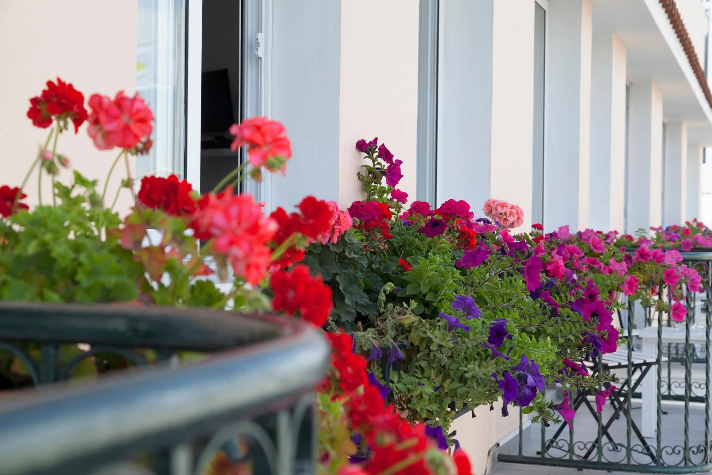 Balcony/Terrace in Hotel Opera