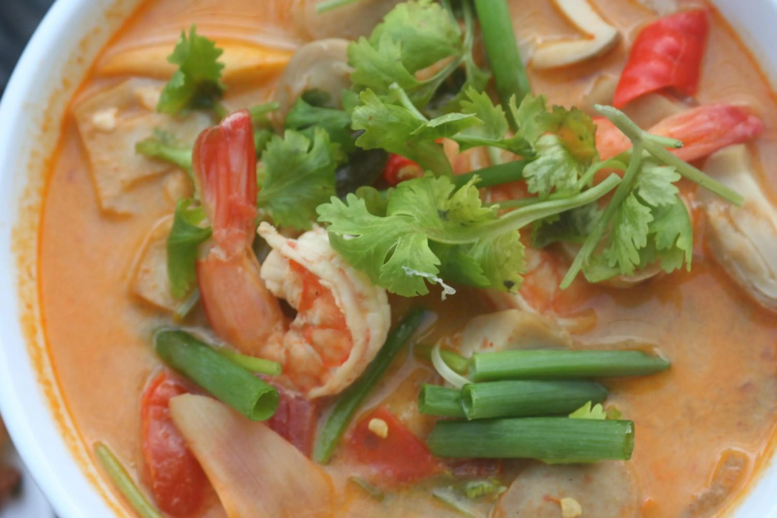 Food and drinks in Palmview Resort