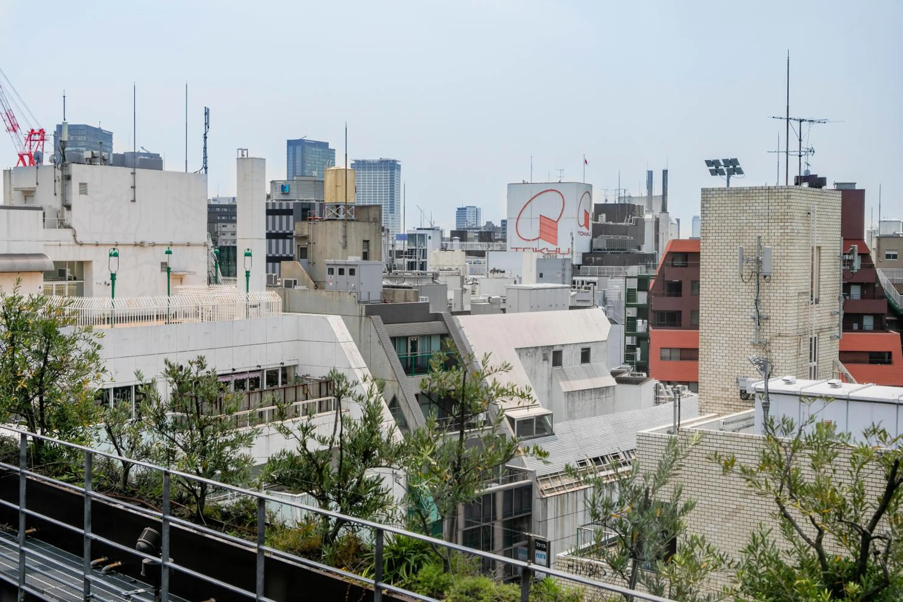 Photo of the whole room in Hotel Wing International Premium Shibuya