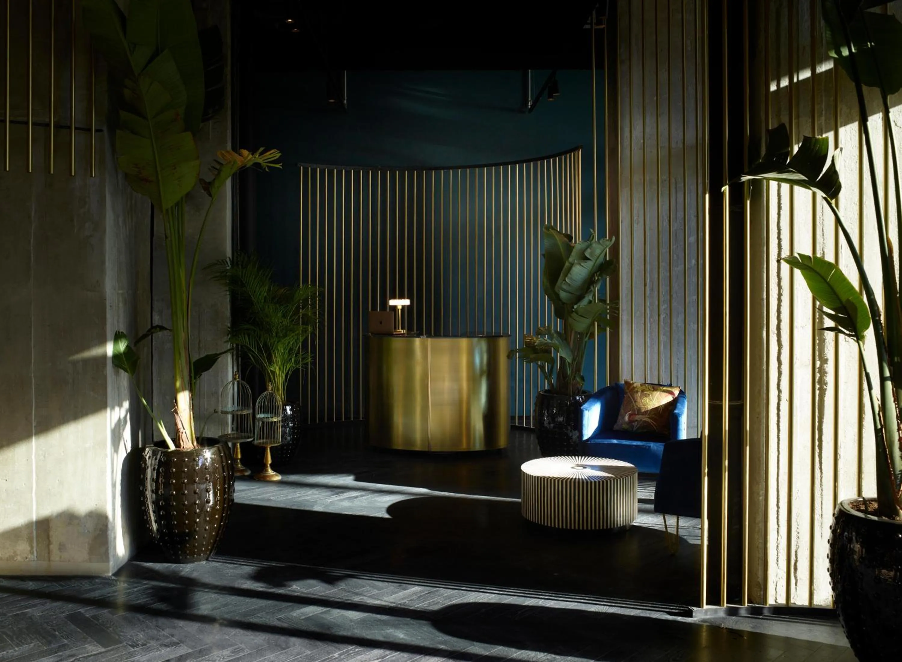 Lobby or reception in Skylark, Aluma Hotels & Resorts