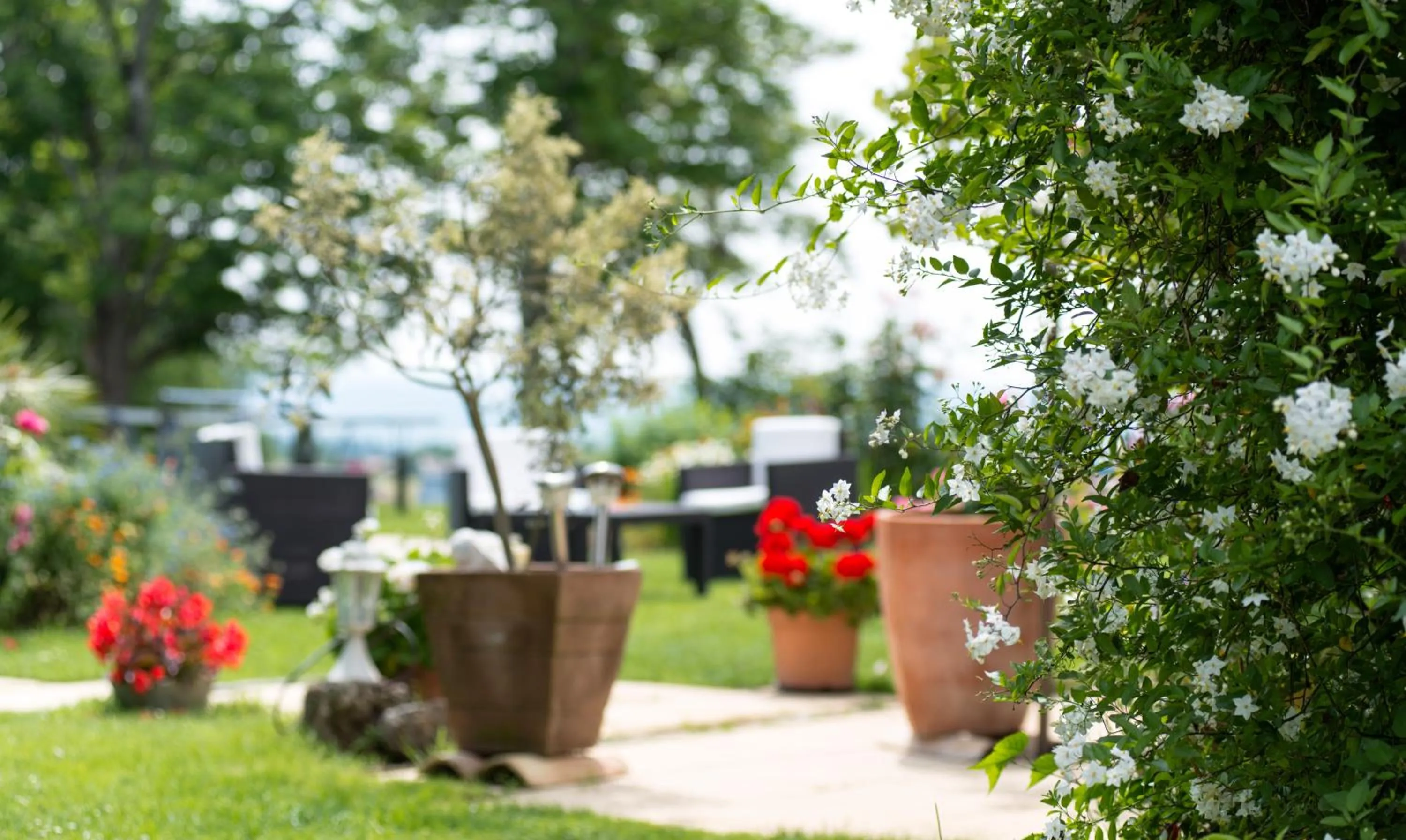 View (from property/room) in Chambres d'hôtes Larroquinière