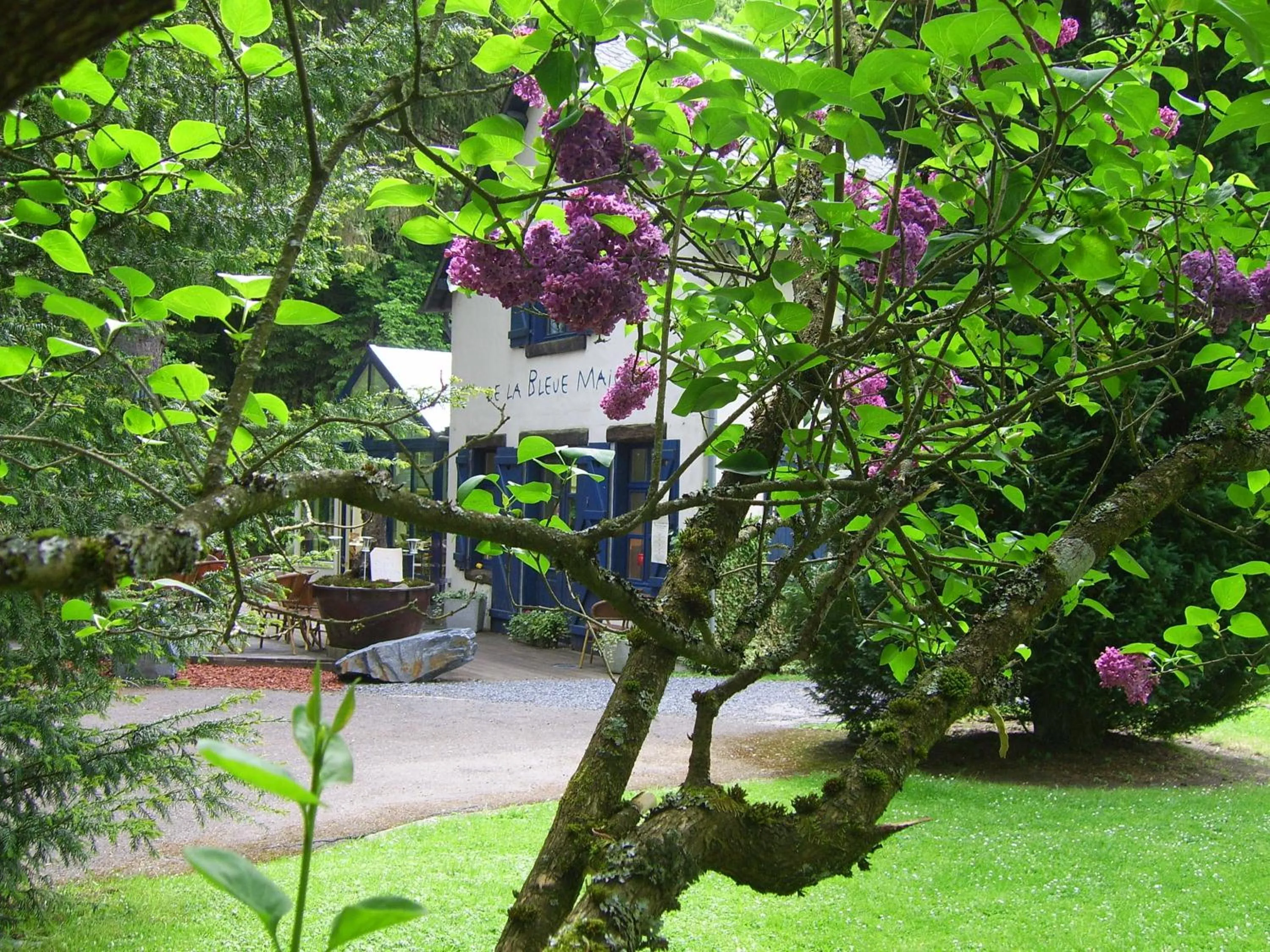 Garden in Hôtel Les Ardillières du Pont d'Oye