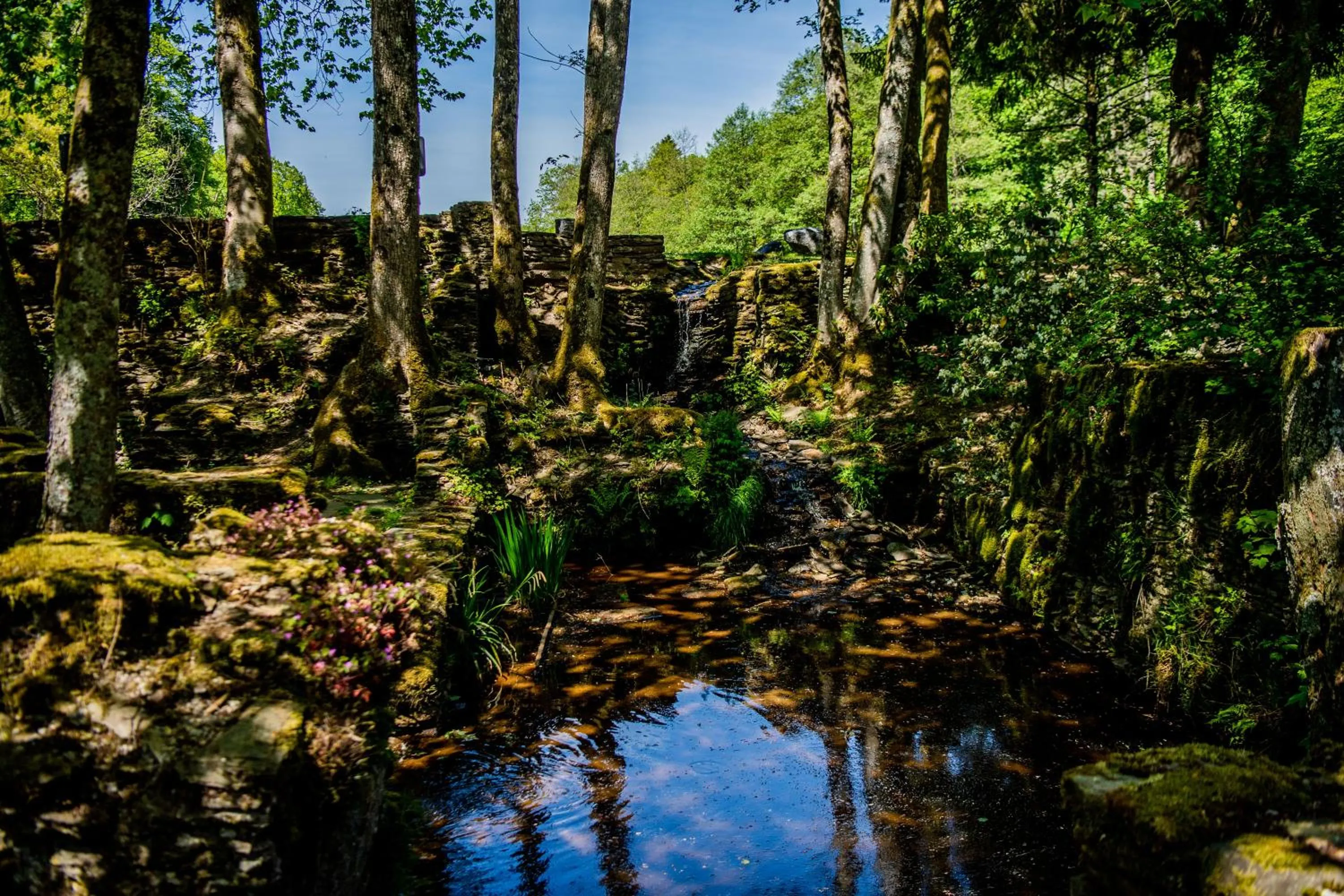 Restaurant/places to eat in Hôtel Les Ardillières du Pont d'Oye