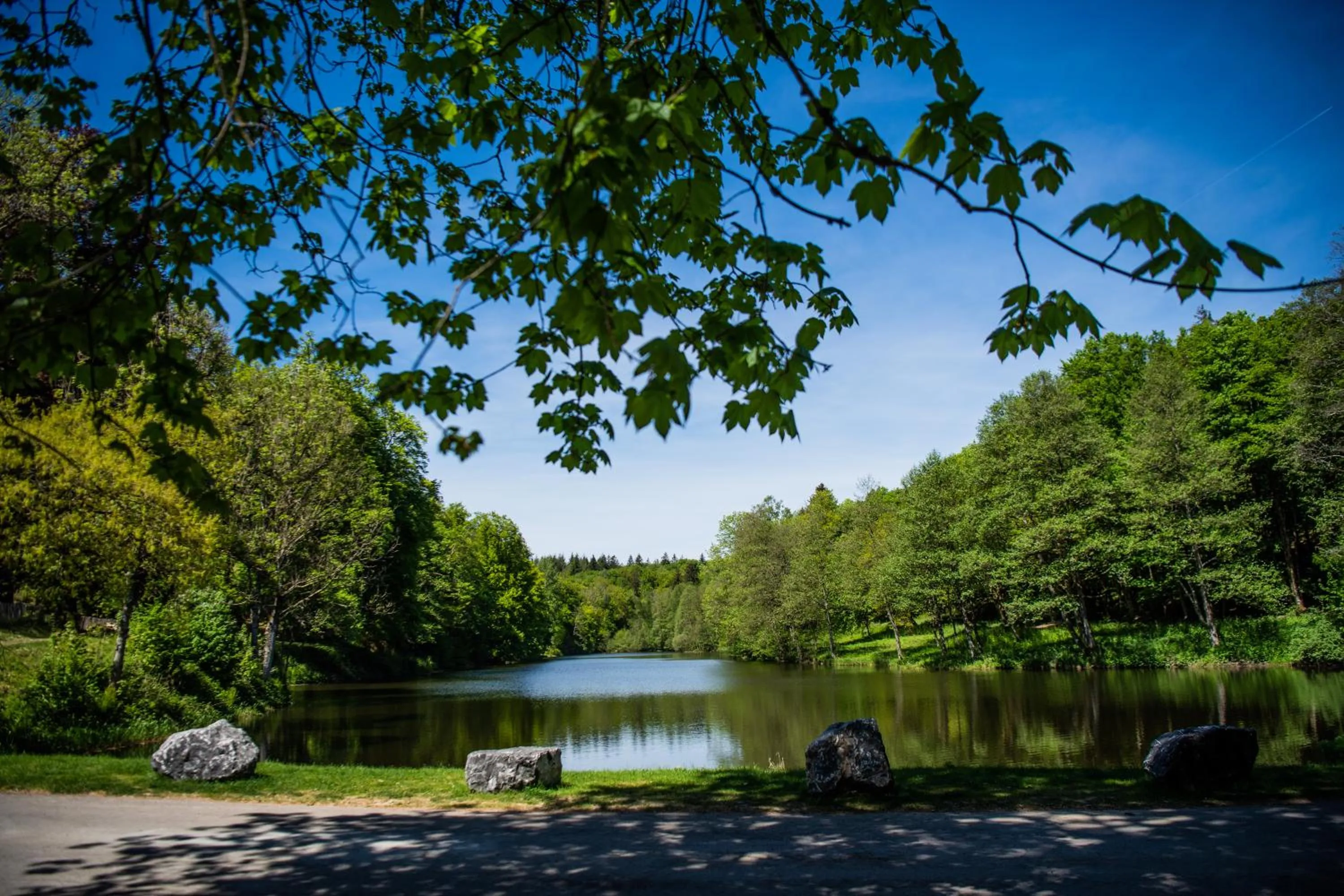 Spring in Hôtel Les Ardillières du Pont d'Oye
