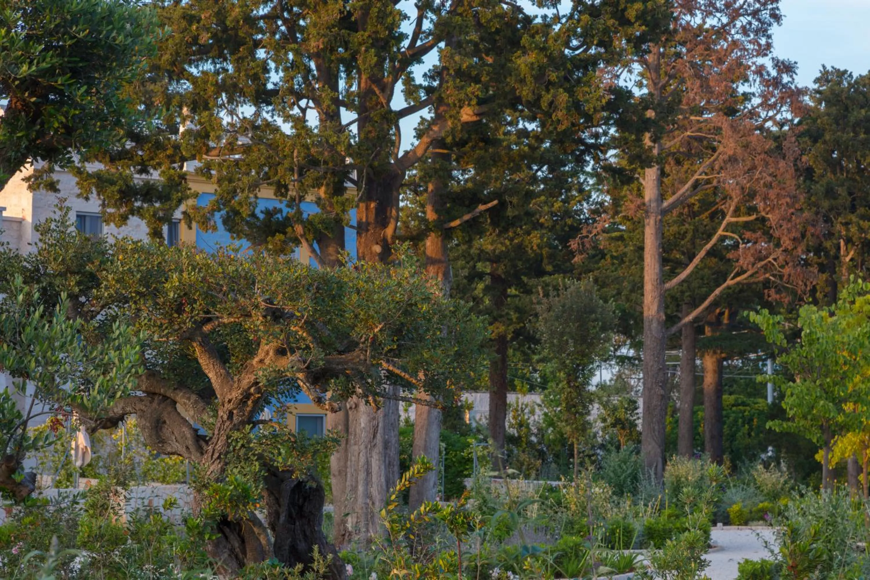 Garden in Borgo dei Lecci Puglia