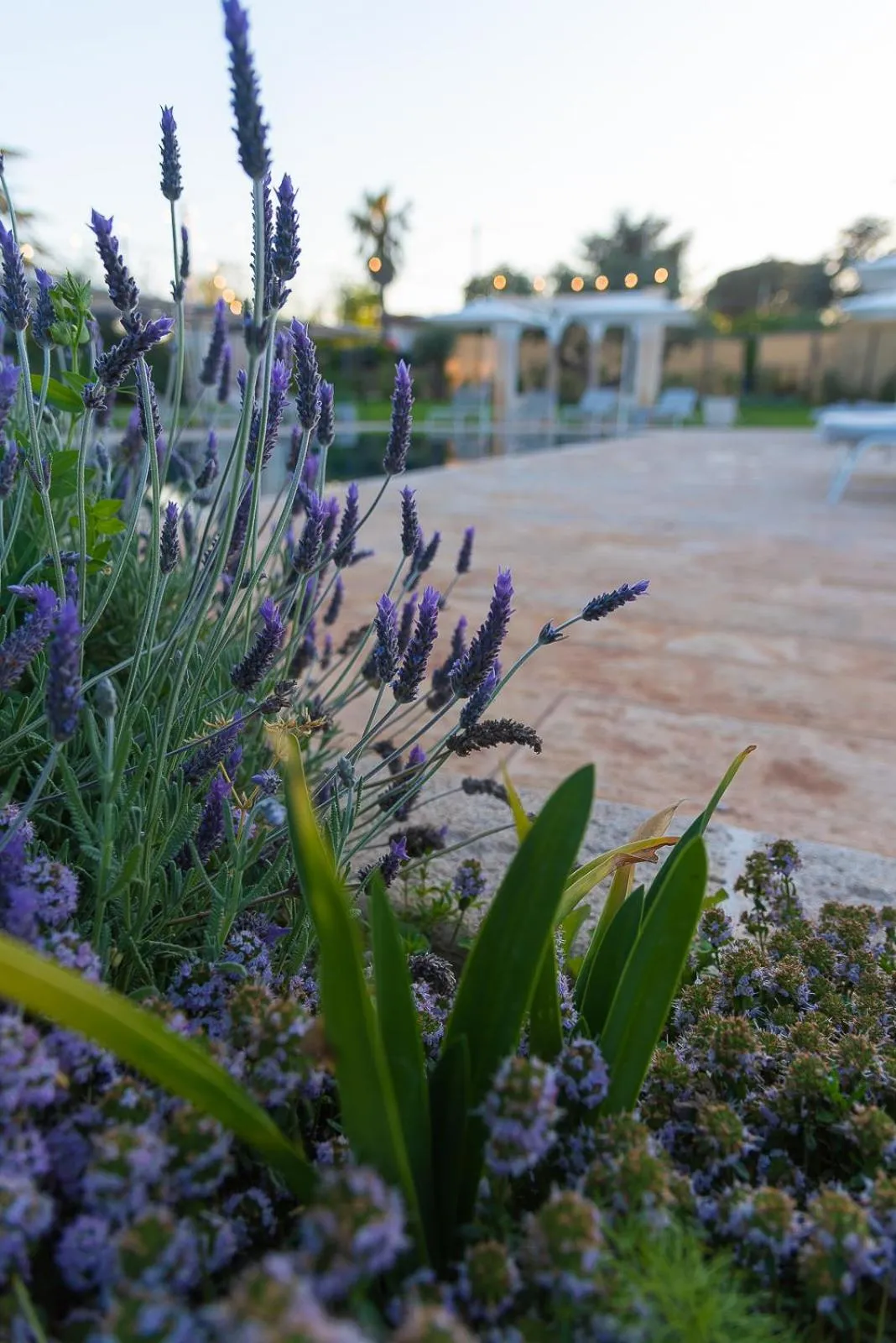 Day in Borgo dei Lecci Puglia