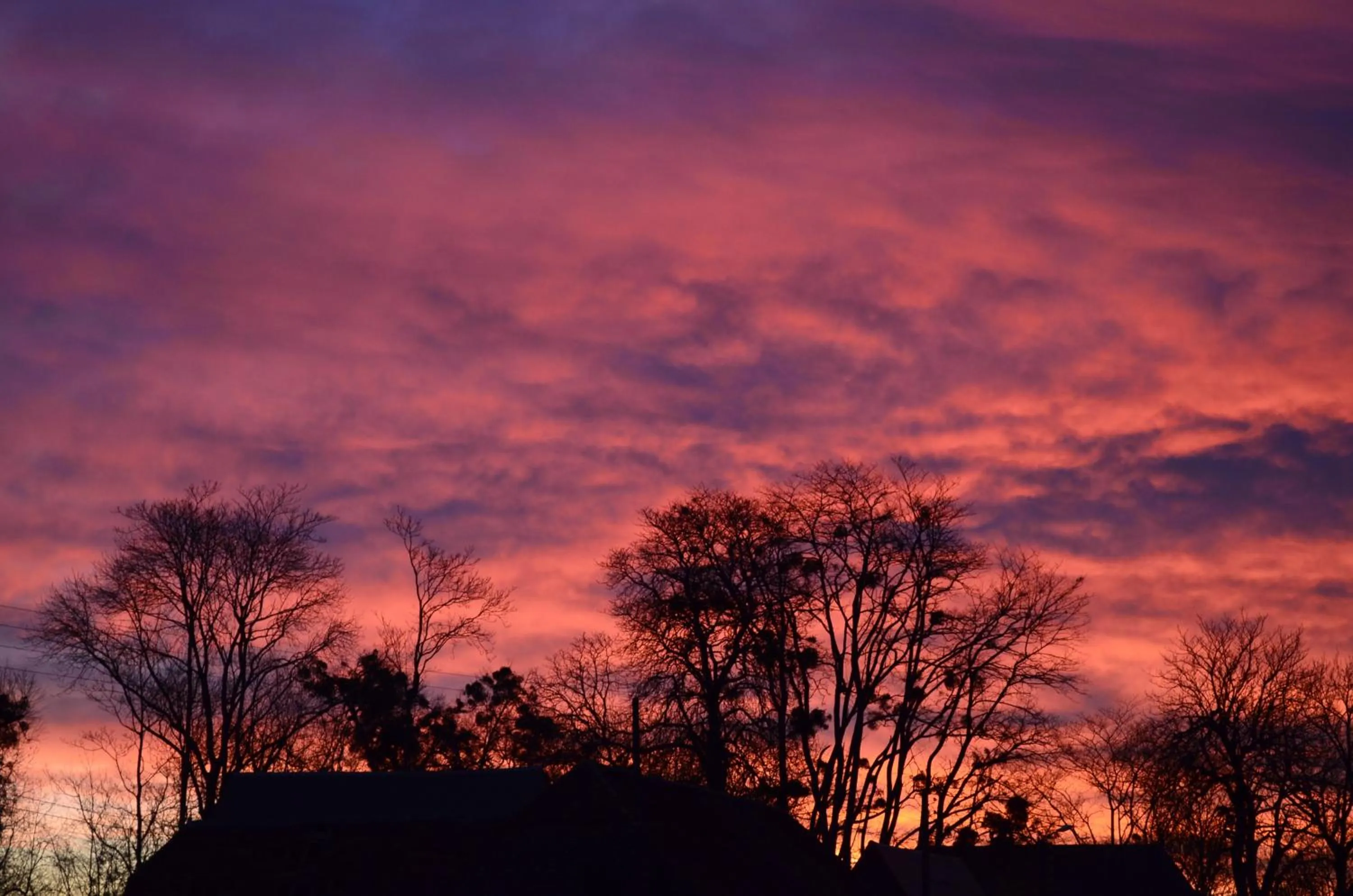 Garden view in Domaine de la Castagnère