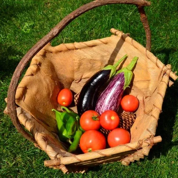 Meals in Domaine de la Castagnère