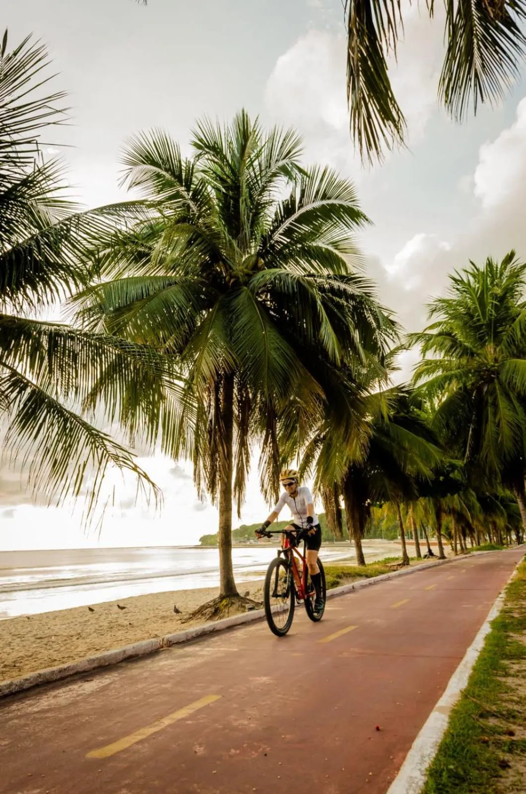 Natural landscape in Ibis Joao Pessoa Praia