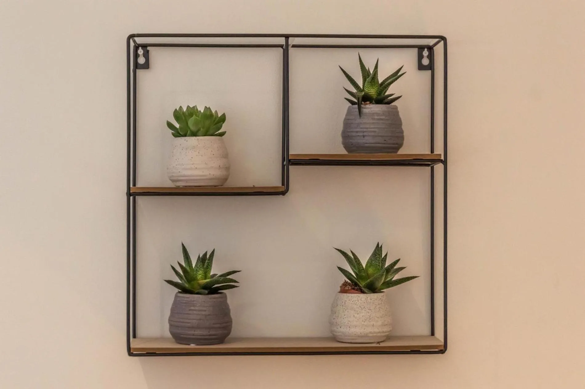 Floor plan in Coppet Cove - 2 Bedroom Apartment - Saundersfoot