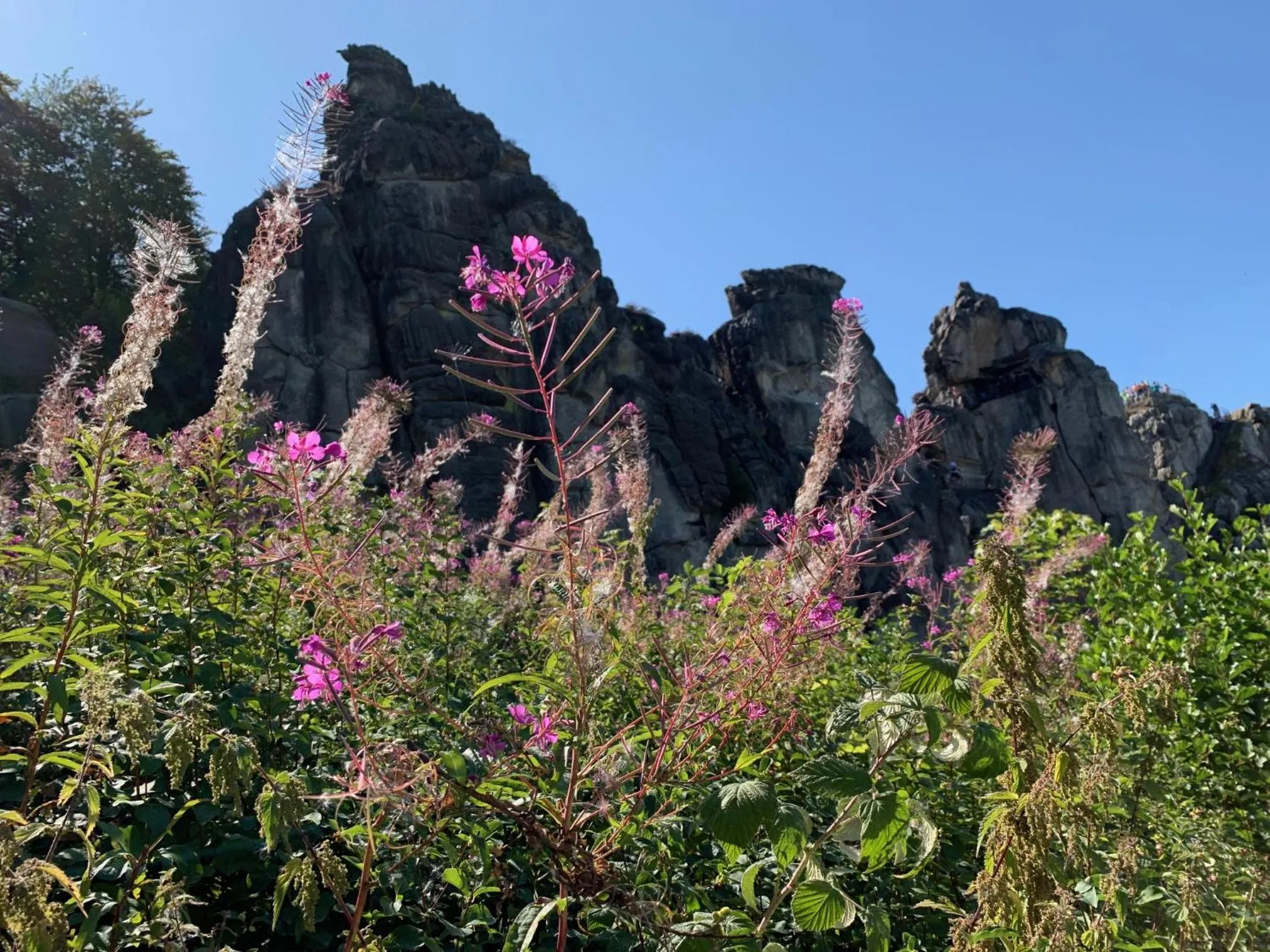 Nearby landmark in Teutonia Hotel