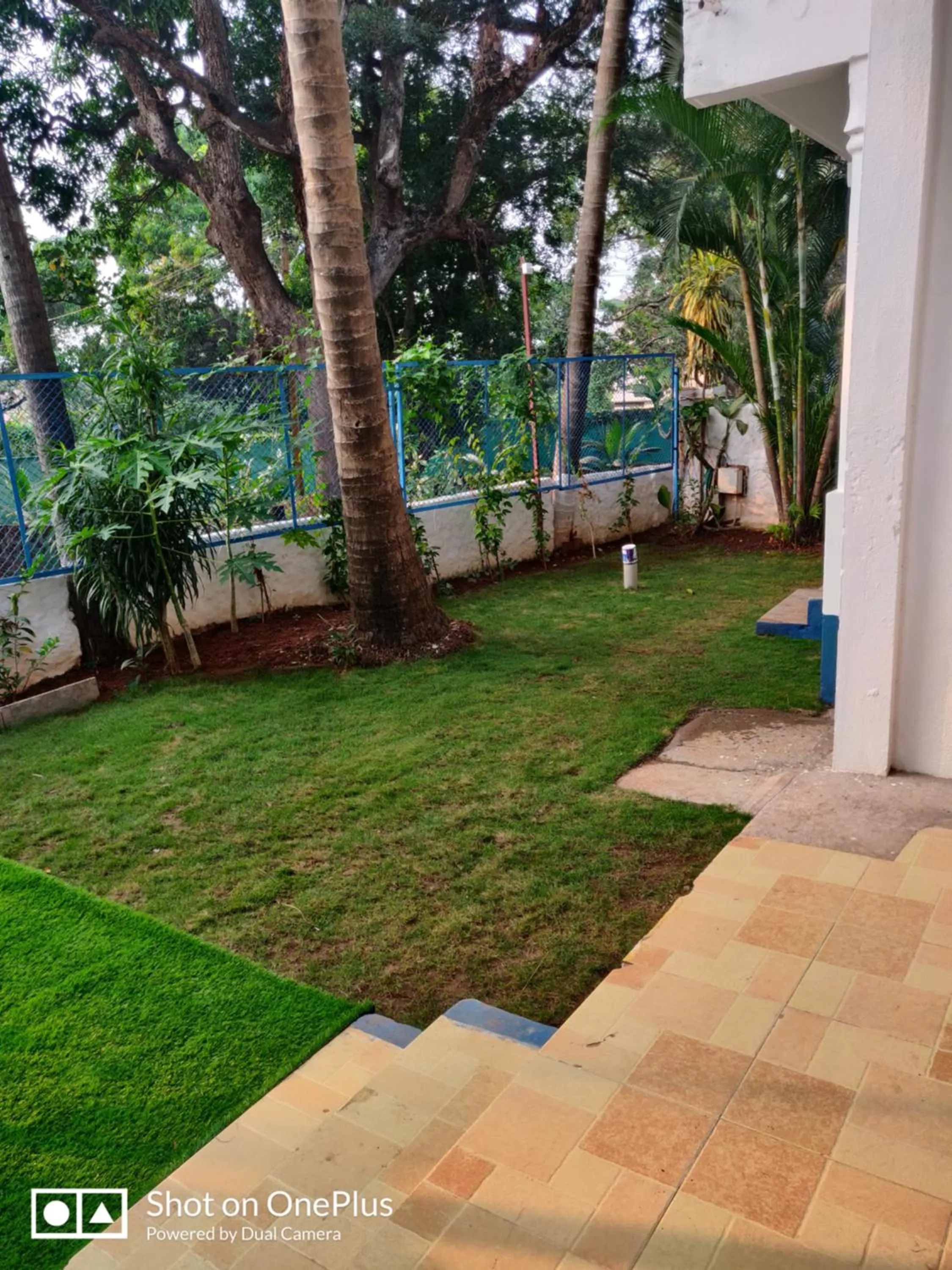 Garden in Makarios Boutique Hotel