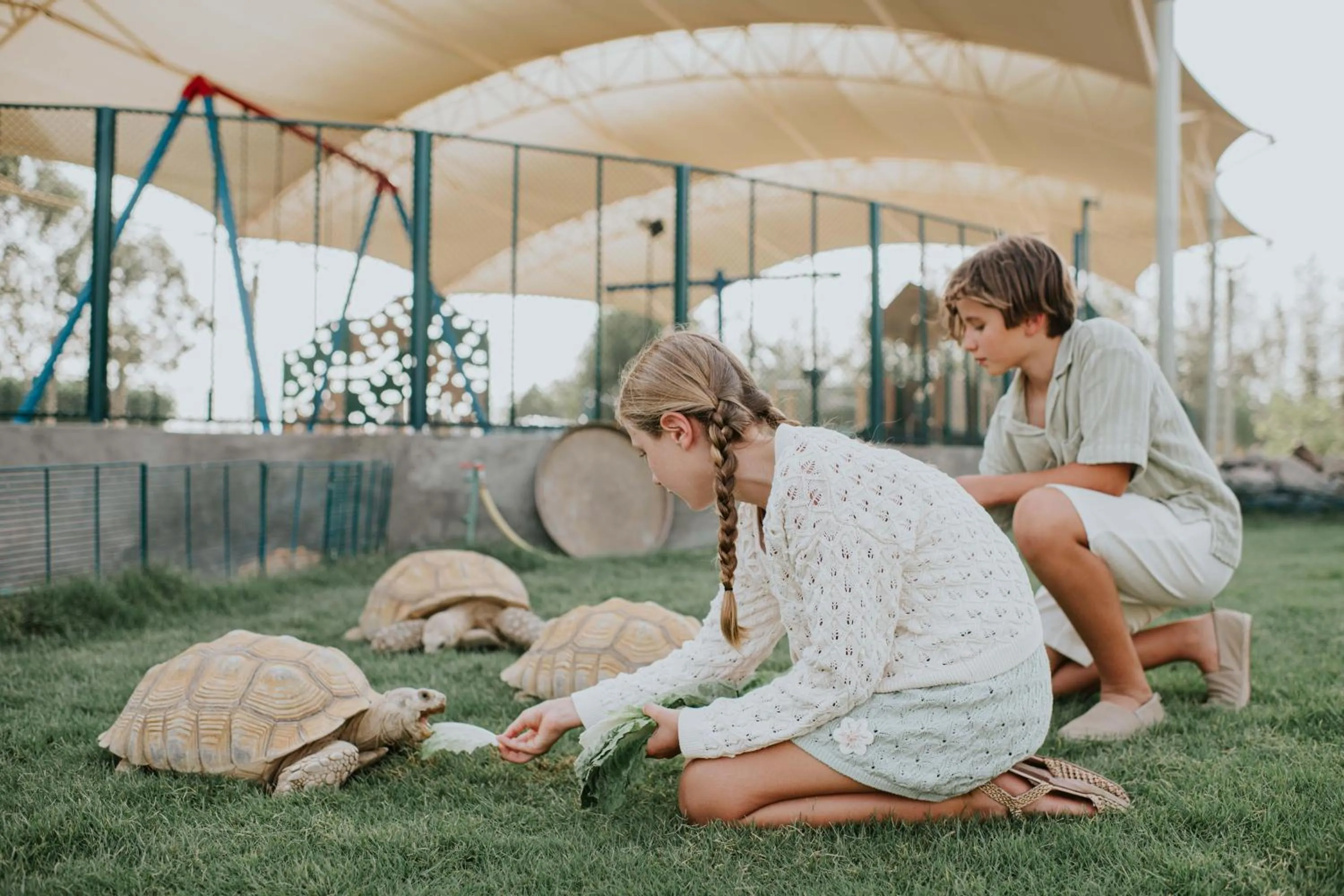 Landmark view in JA Hatta Fort Hotel