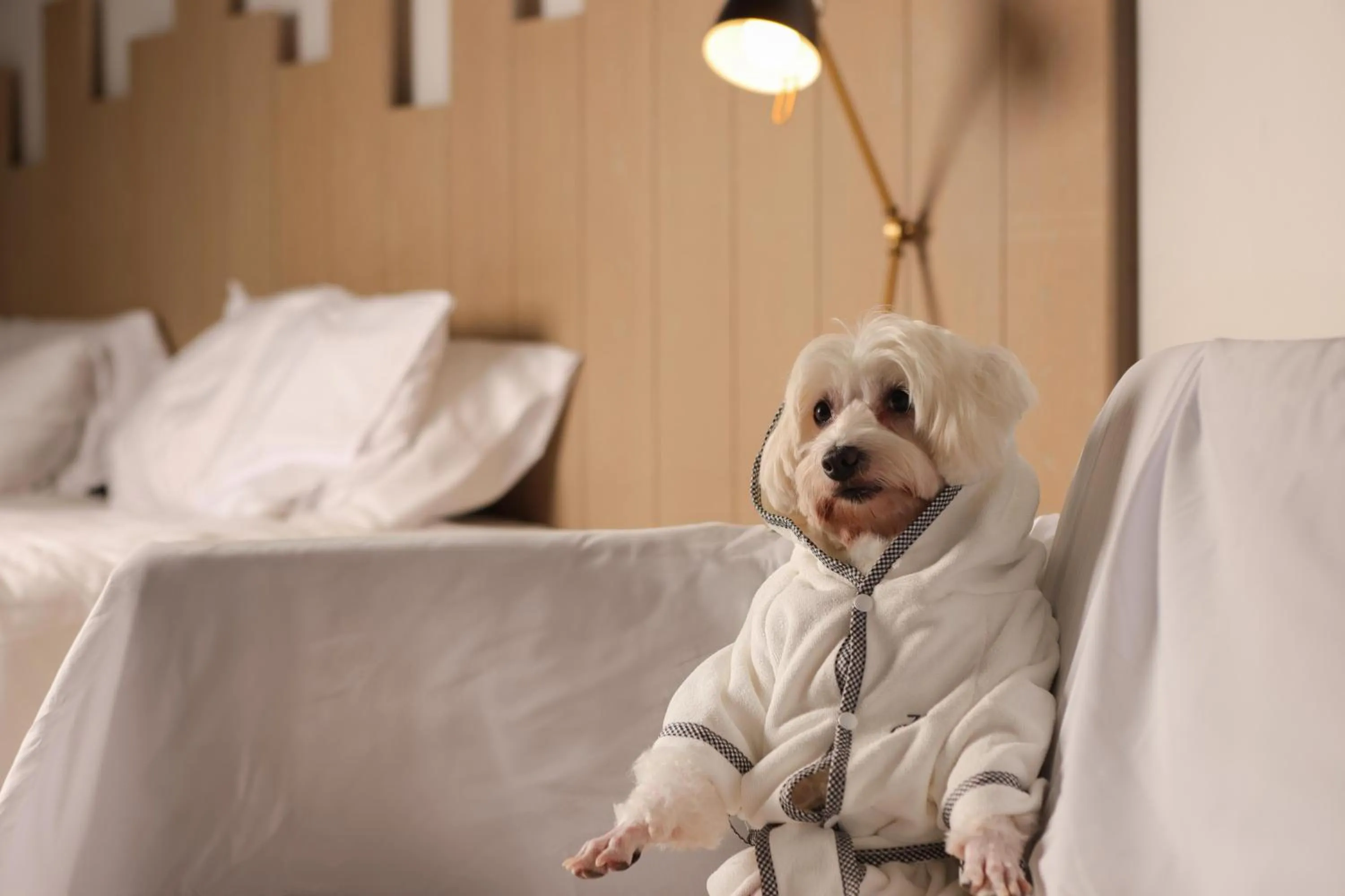 Pets, Bed in JA Hatta Fort Hotel