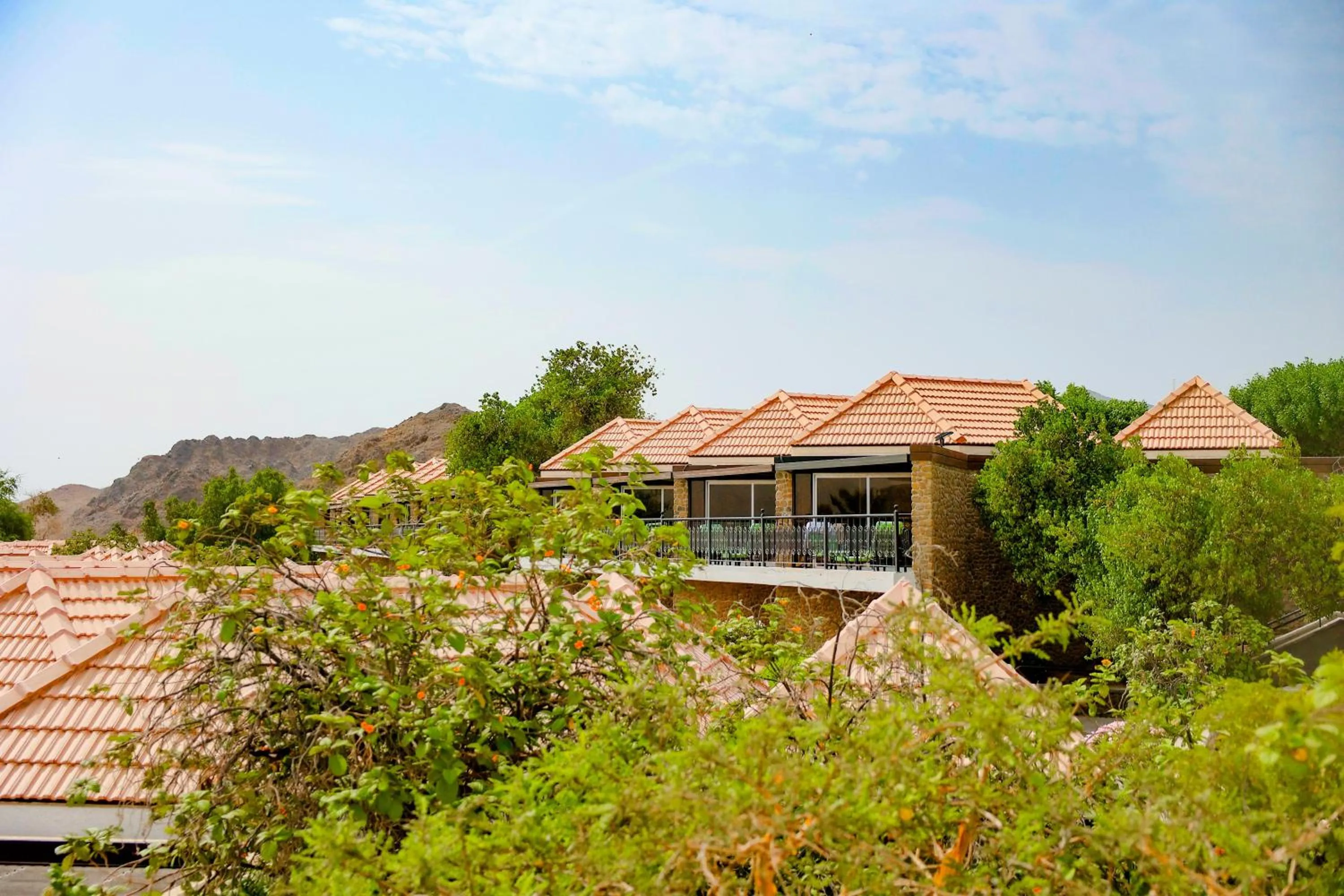 Natural landscape in JA Hatta Fort Hotel