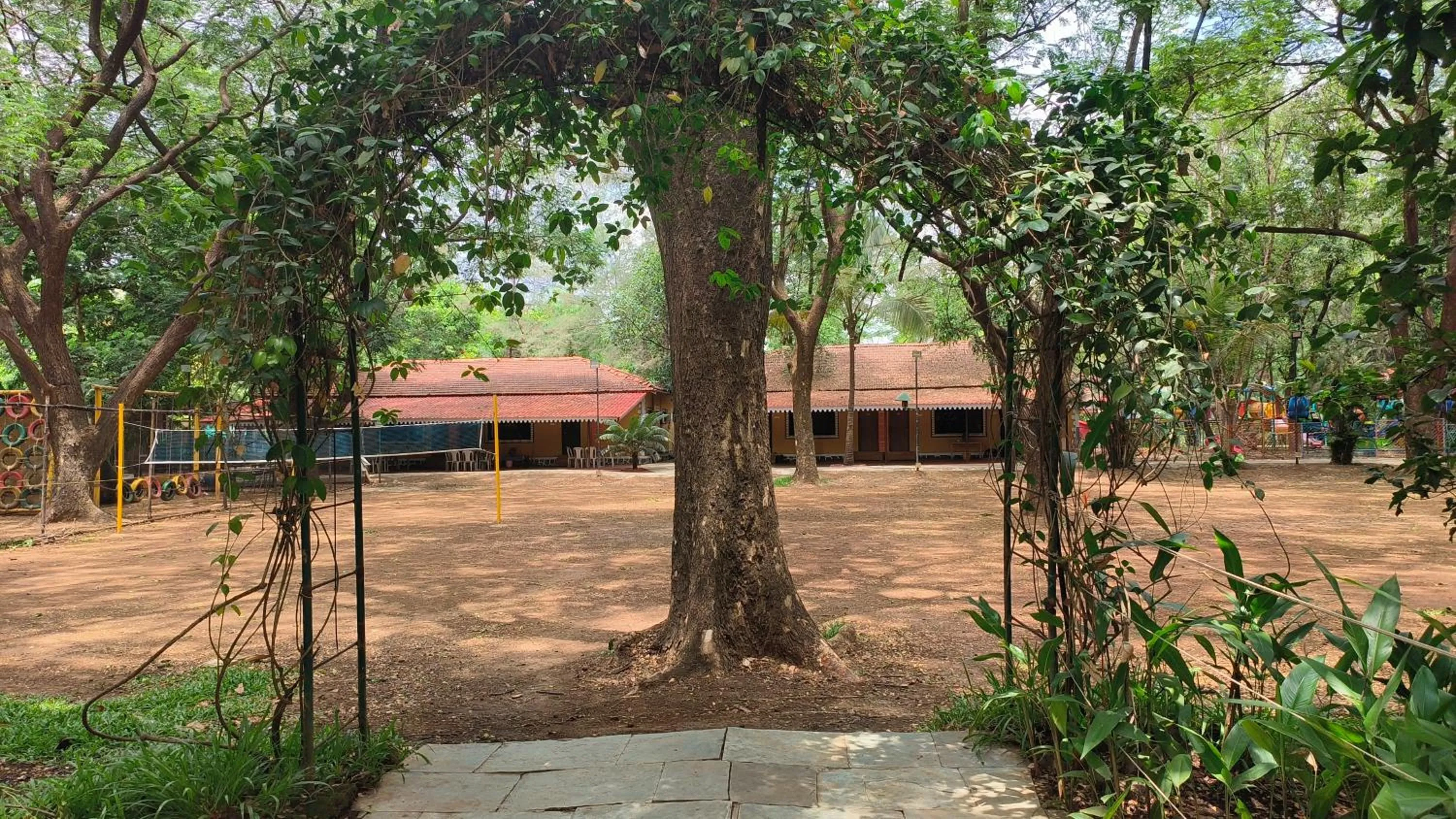 Natural landscape in Pinewood Resort