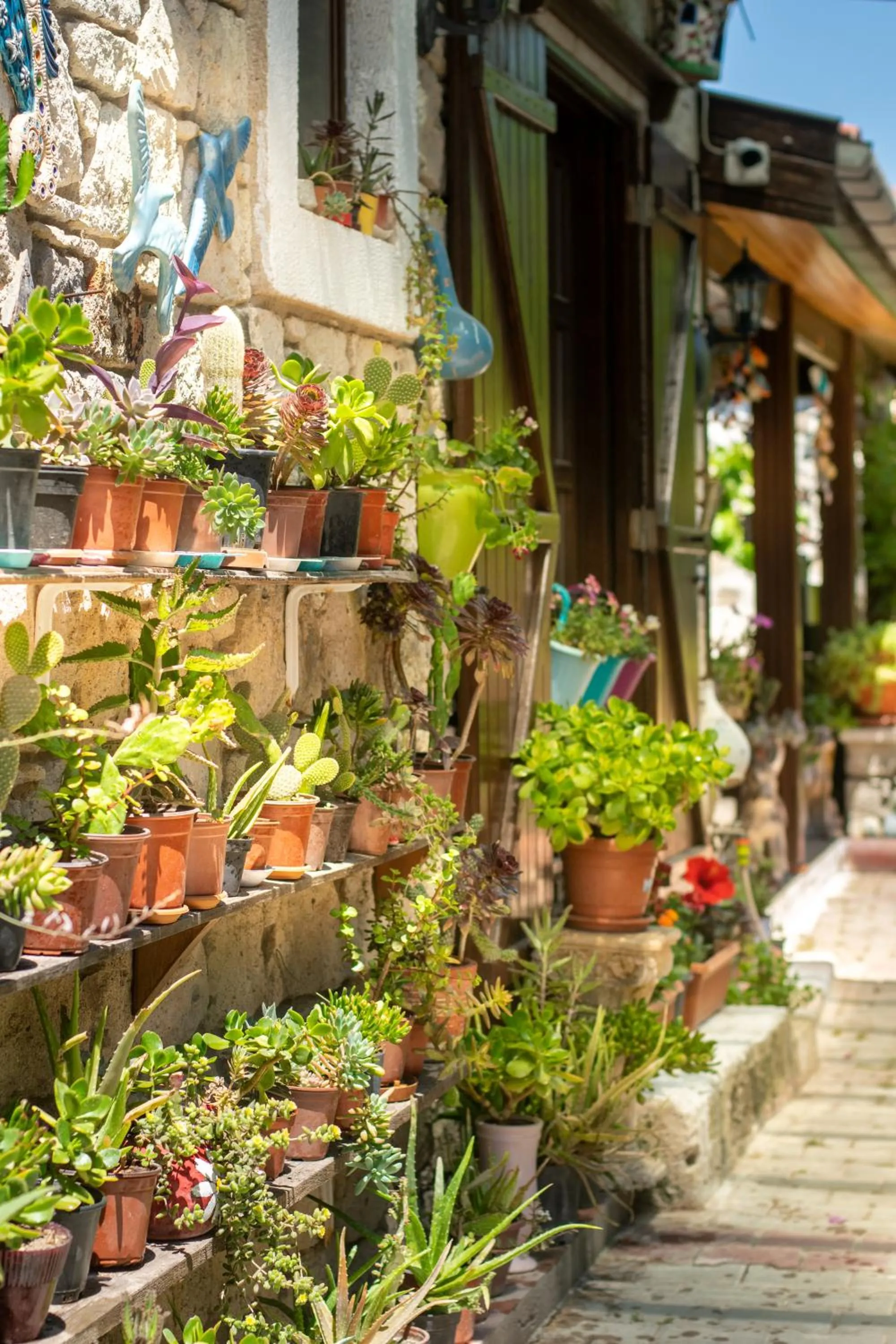 Garden in Flores Hotel Alaçatı