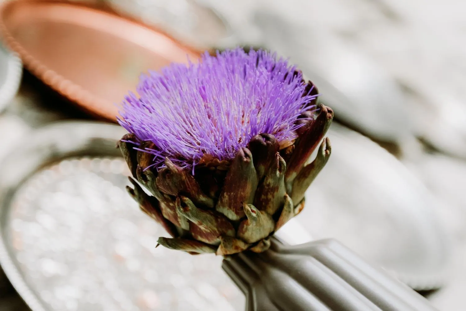 Decorative detail in Morisi Avlu