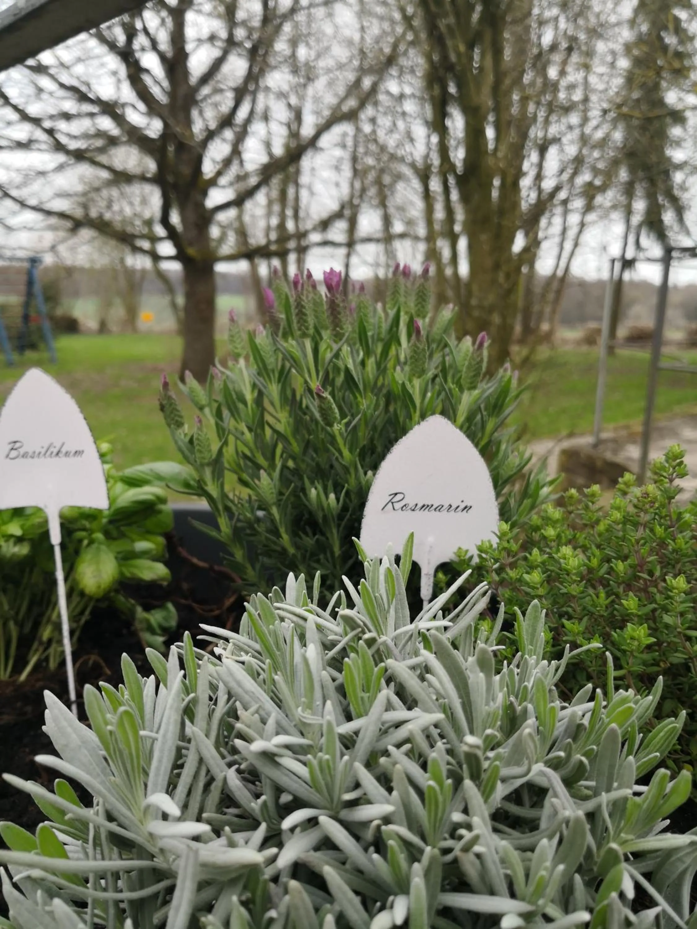Balcony/Terrace in Hotel Sonnenhof