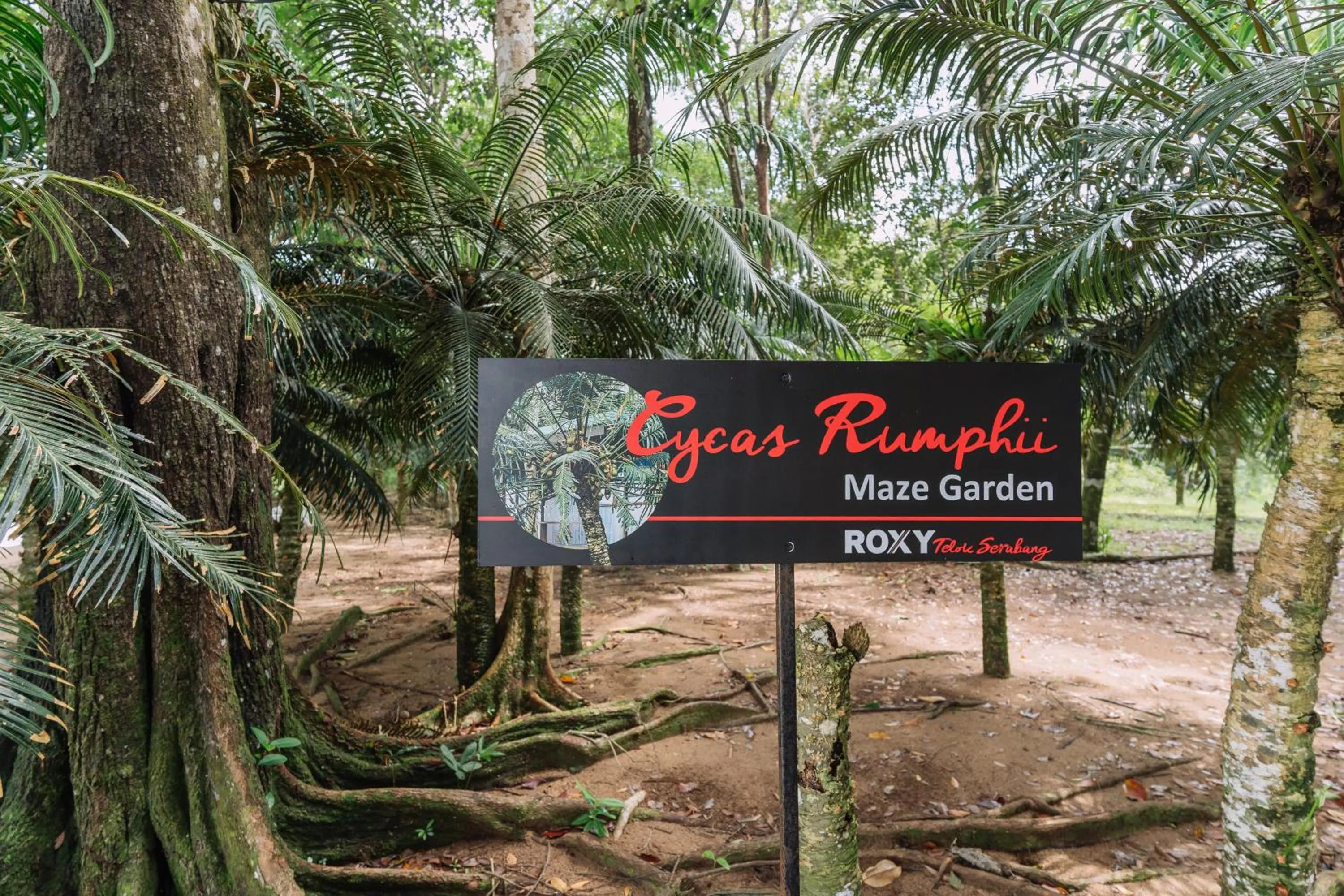 Property logo or sign in Roxy Telok Serabang