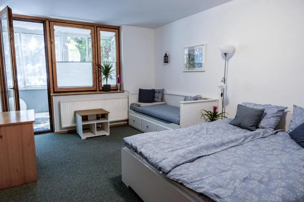 Bed in Dragons Dream Hostel