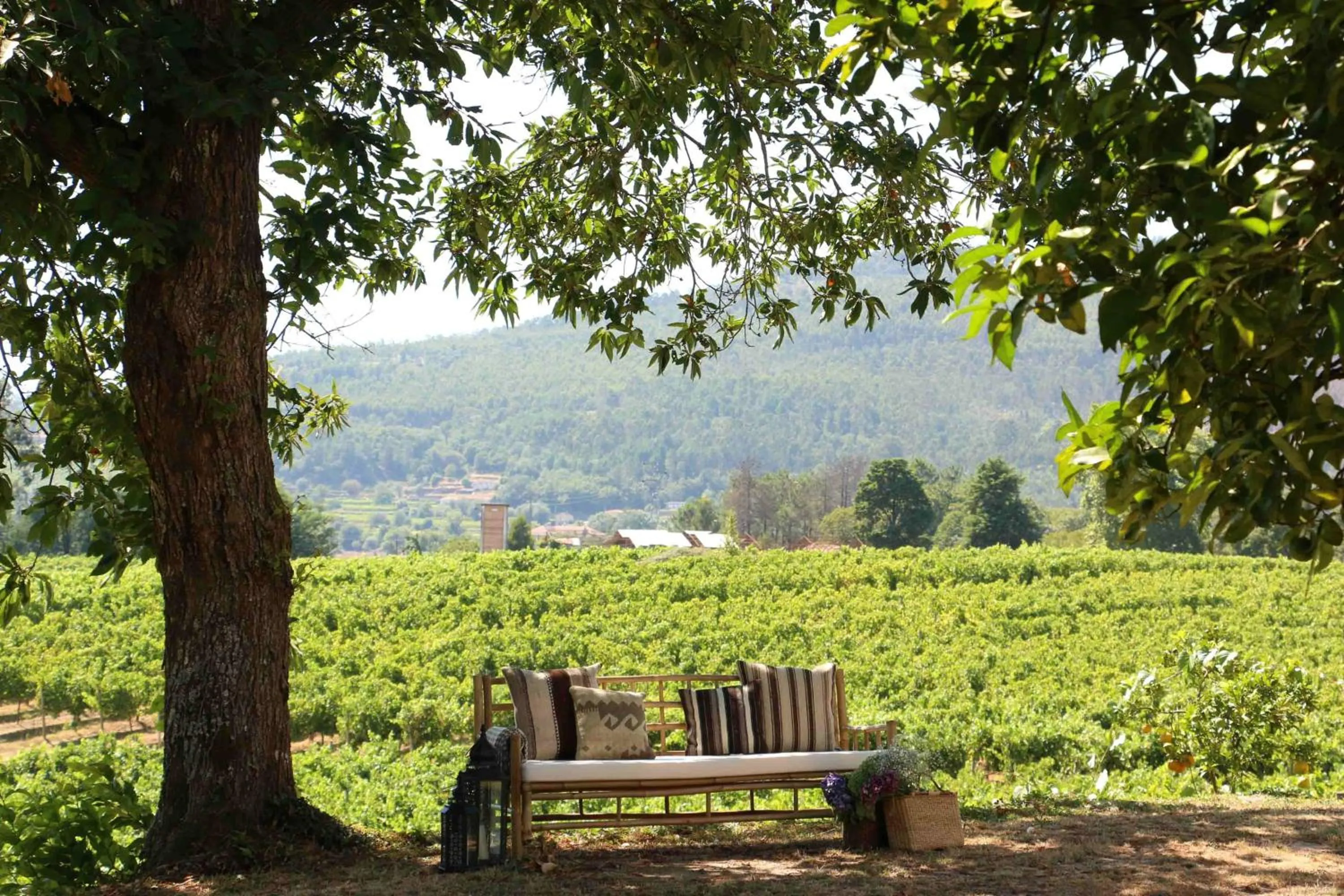 Garden in Terra Rosa Country House & Vineyards