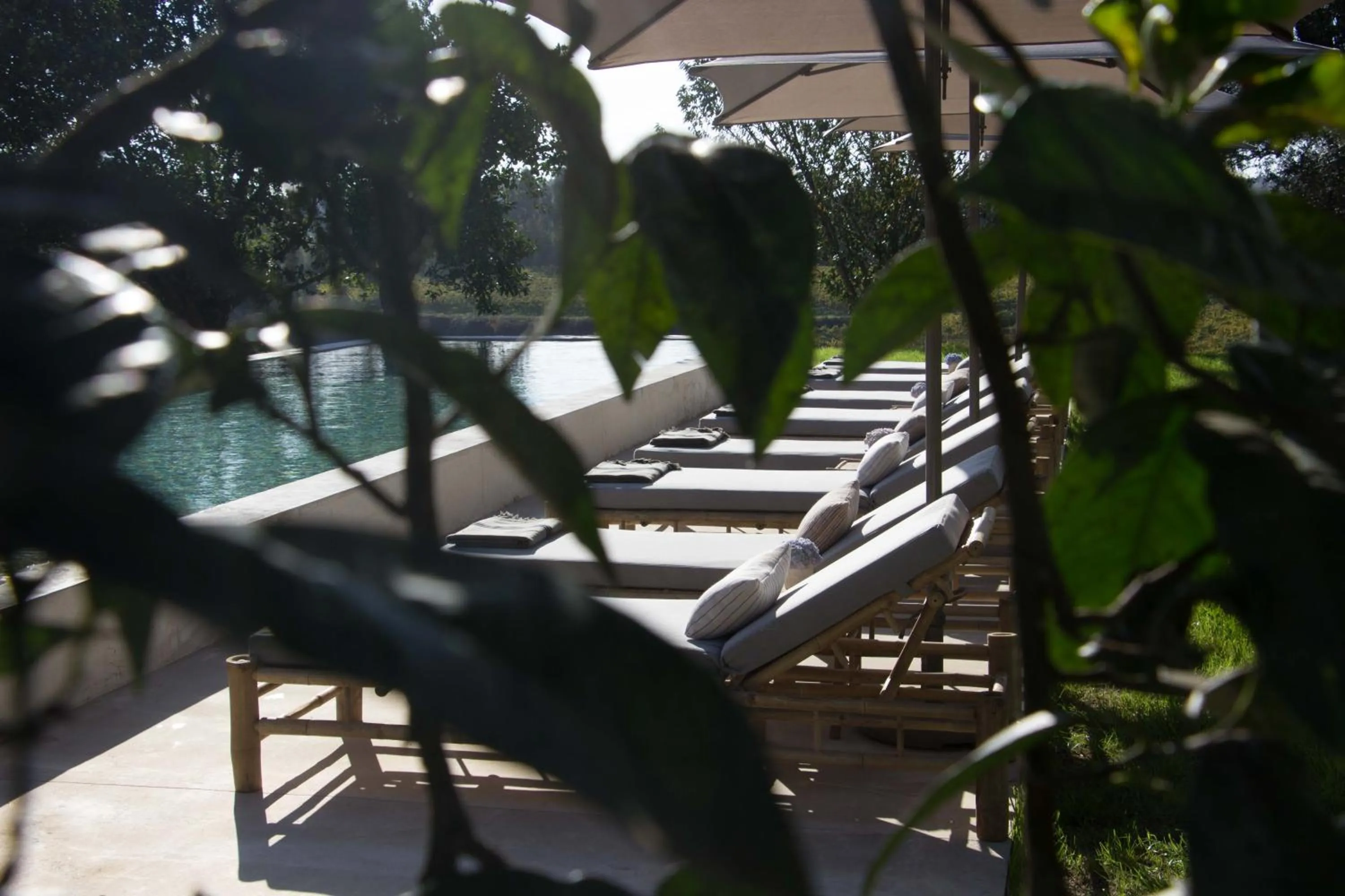 Natural landscape in Terra Rosa Country House & Vineyards