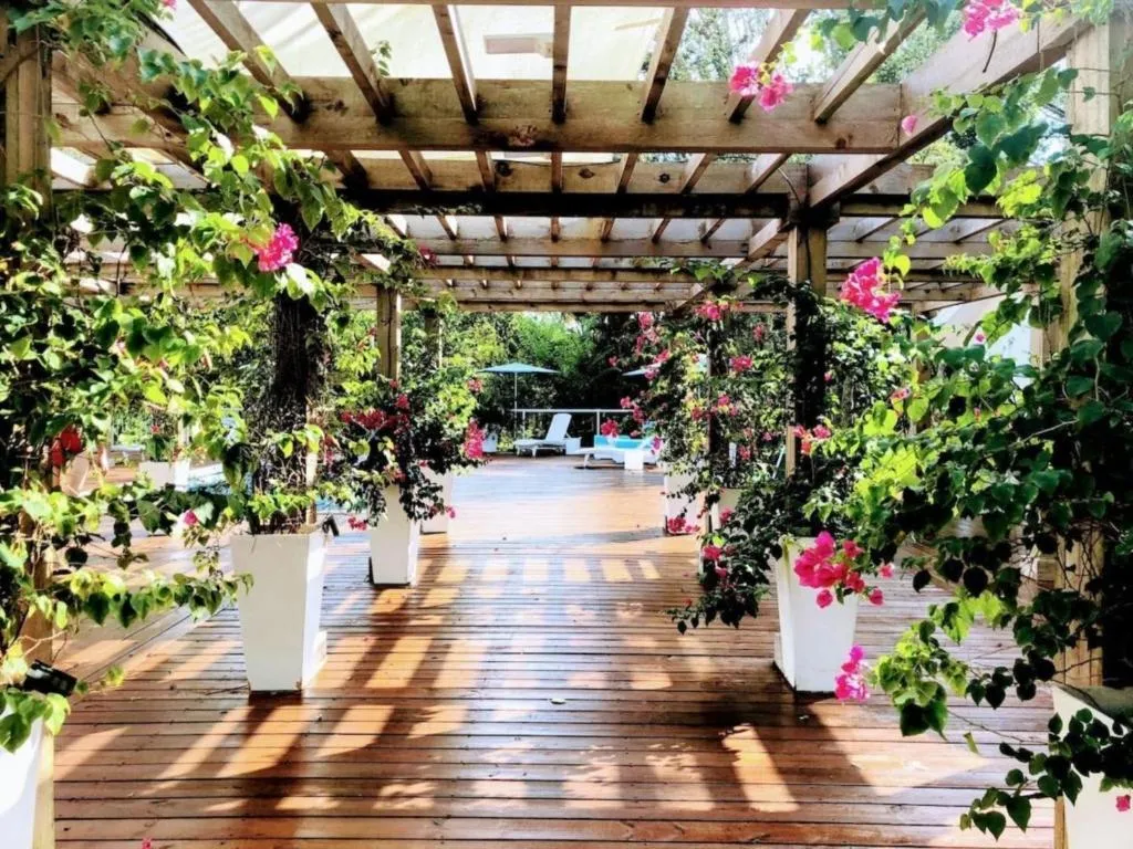 Other in Orchid Estate #2