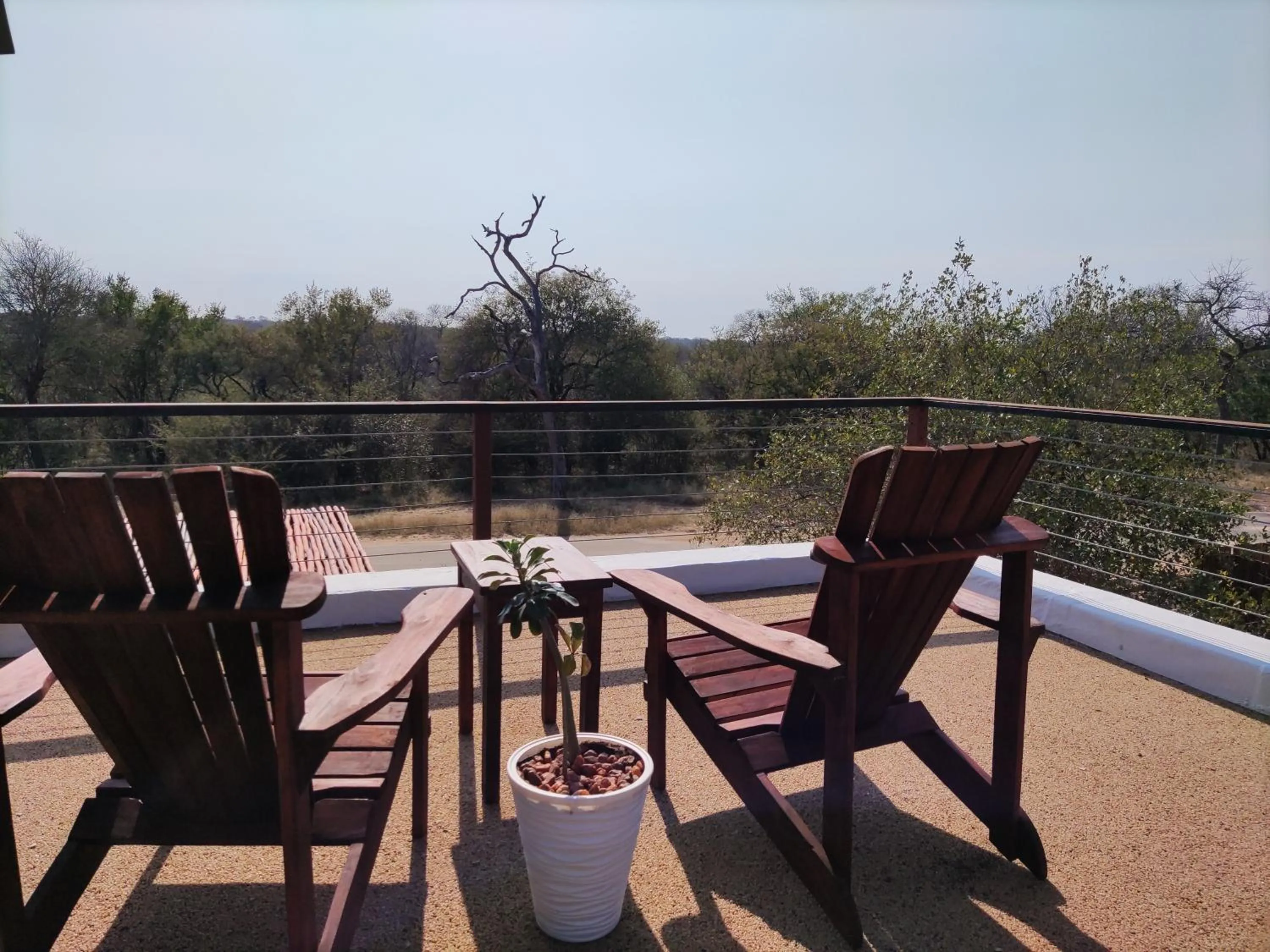 View (from property/room) in Gem In The Bush Lodge