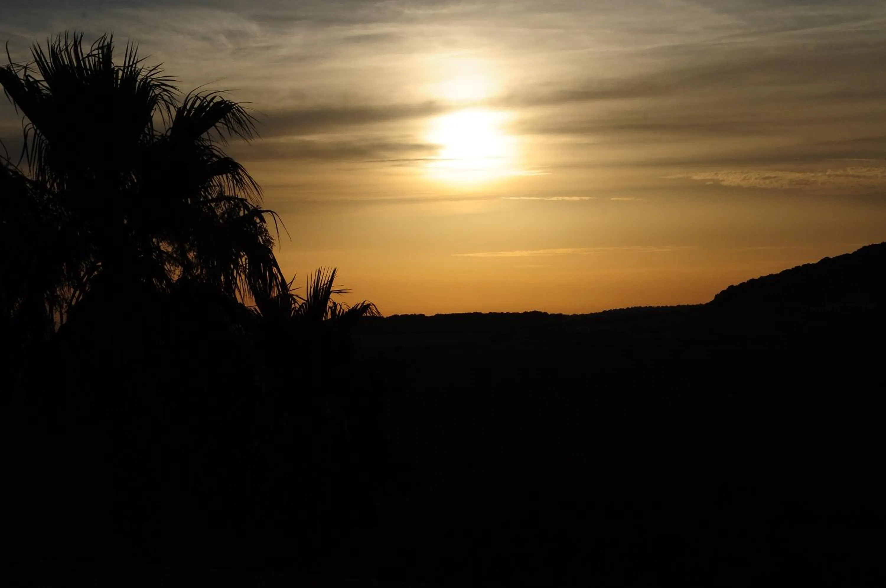 Garden view in Arenas de Son Bou