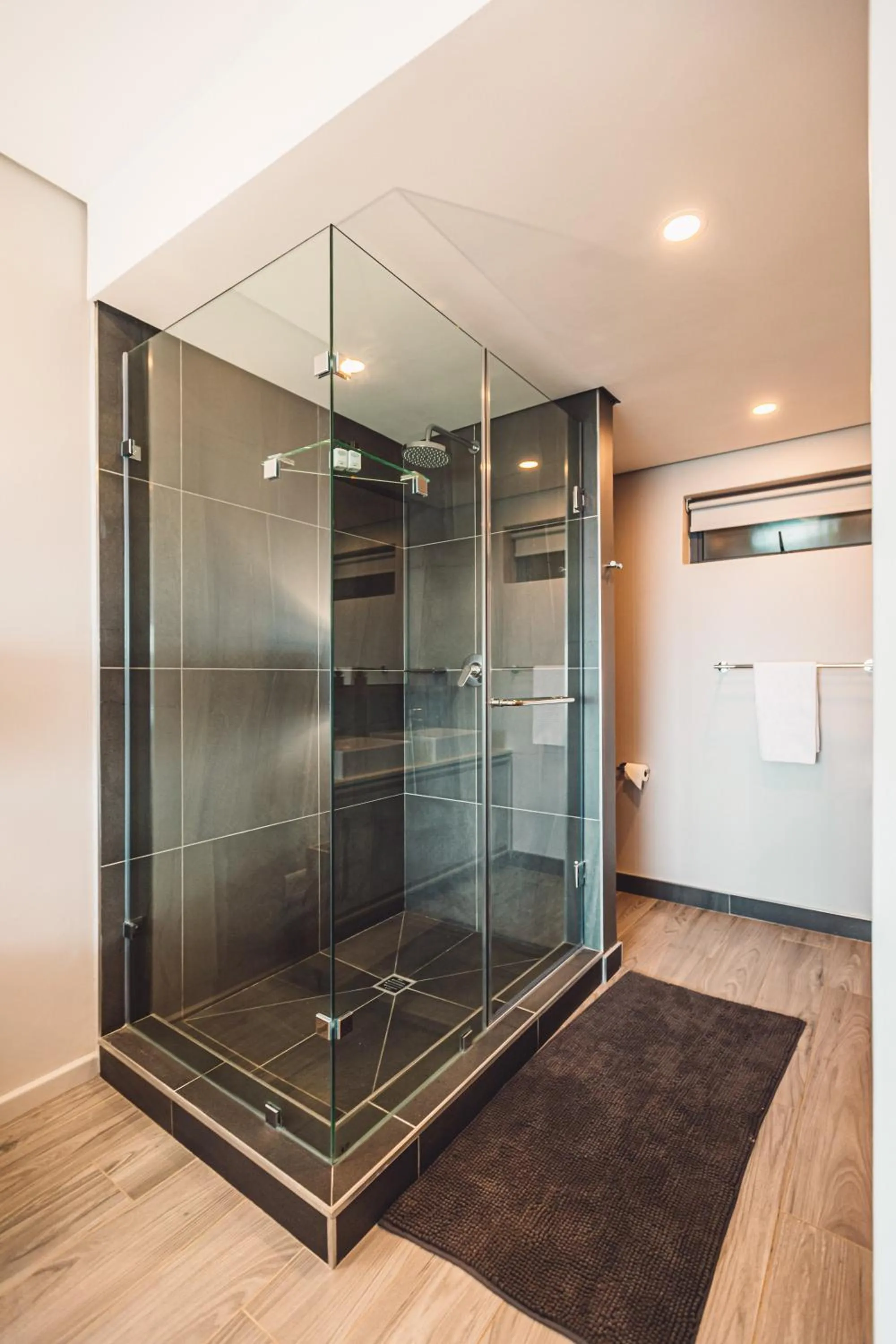 Shower in Umhlanga Arch Properties