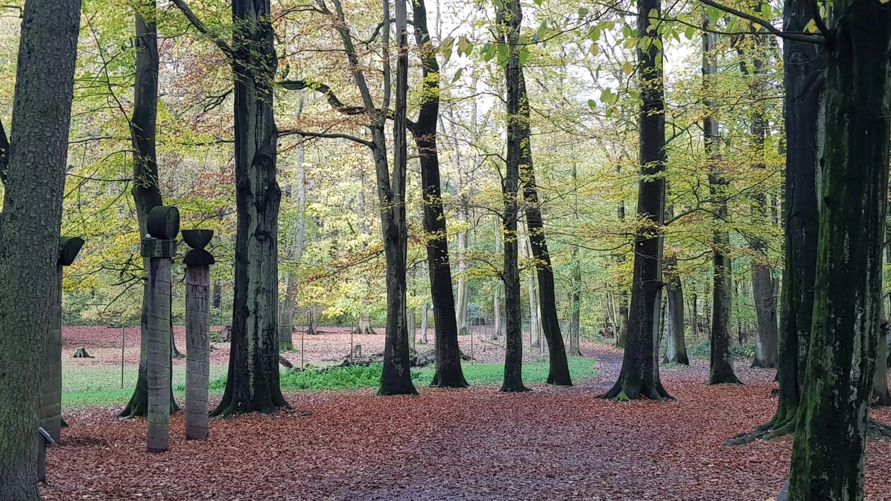 Natural landscape in Wald-Hotel