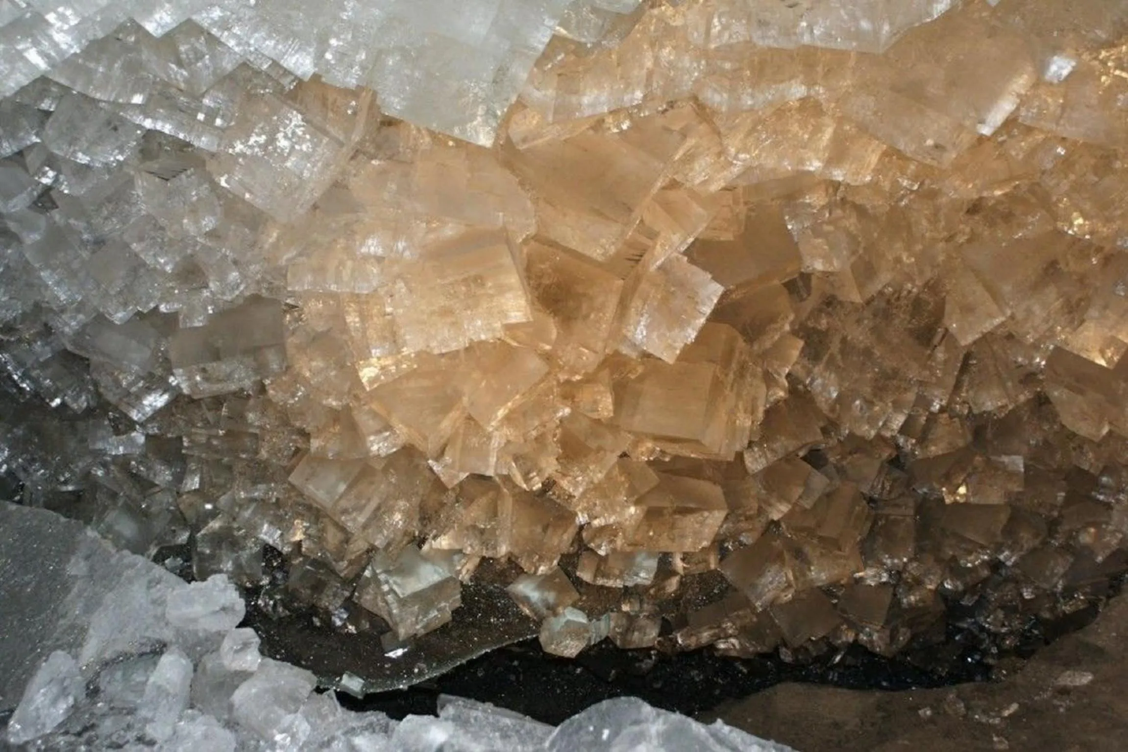 Nearby landmark in Hessen Hotelpark Hohenroda