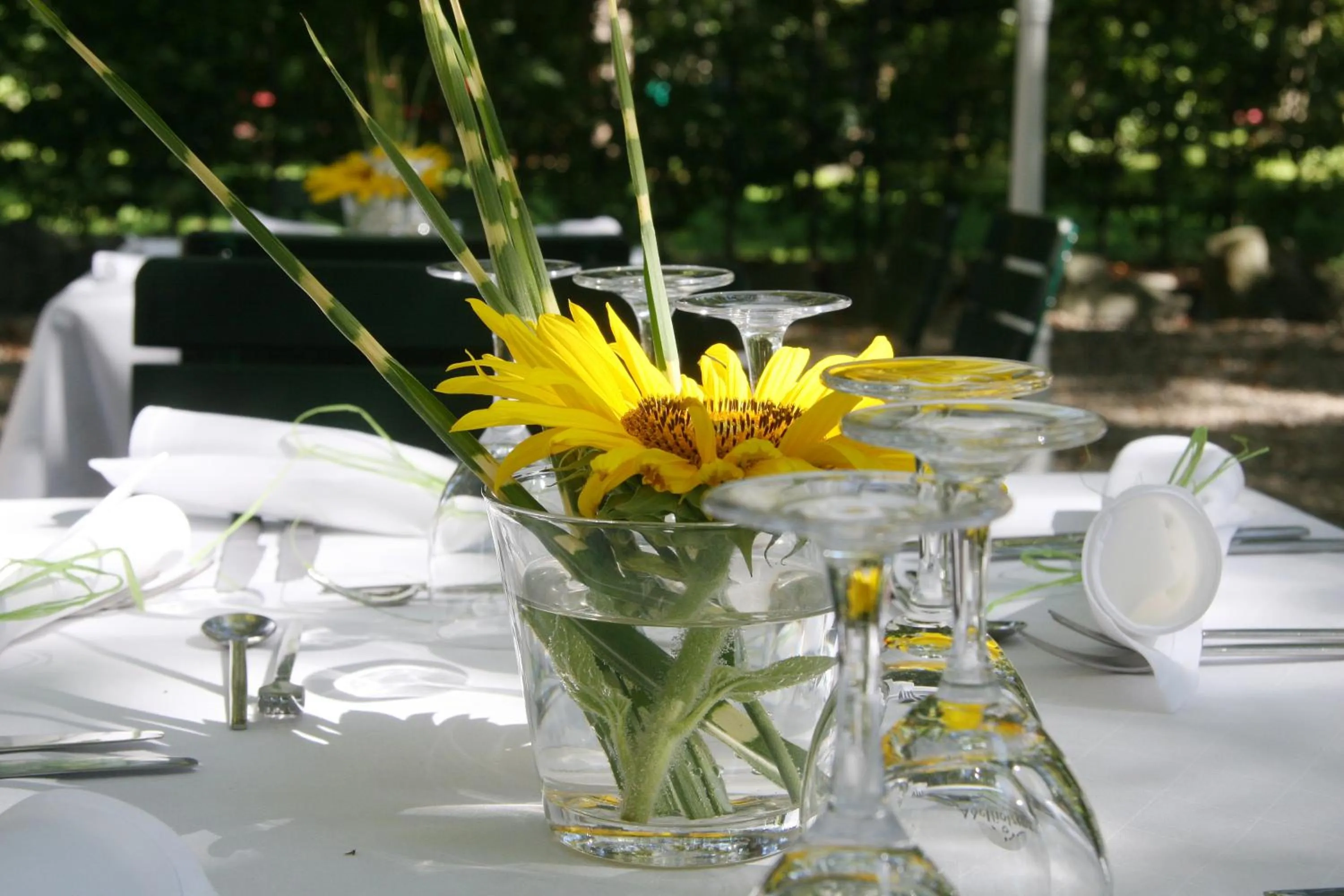 Other in Hotel Gasthof Alte Post - Restaurant offen