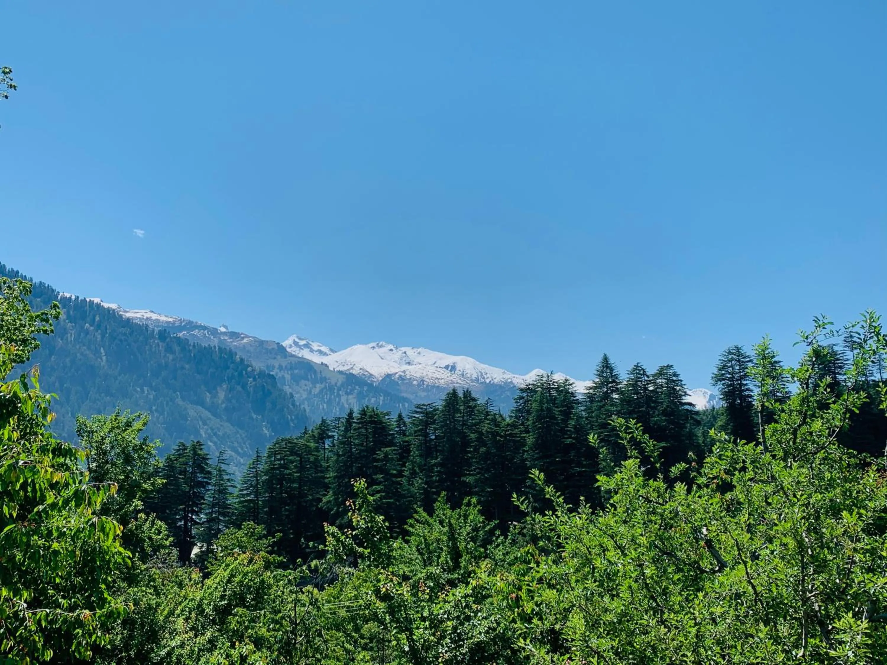 Natural landscape in Jungle by sturmfrei Manali
