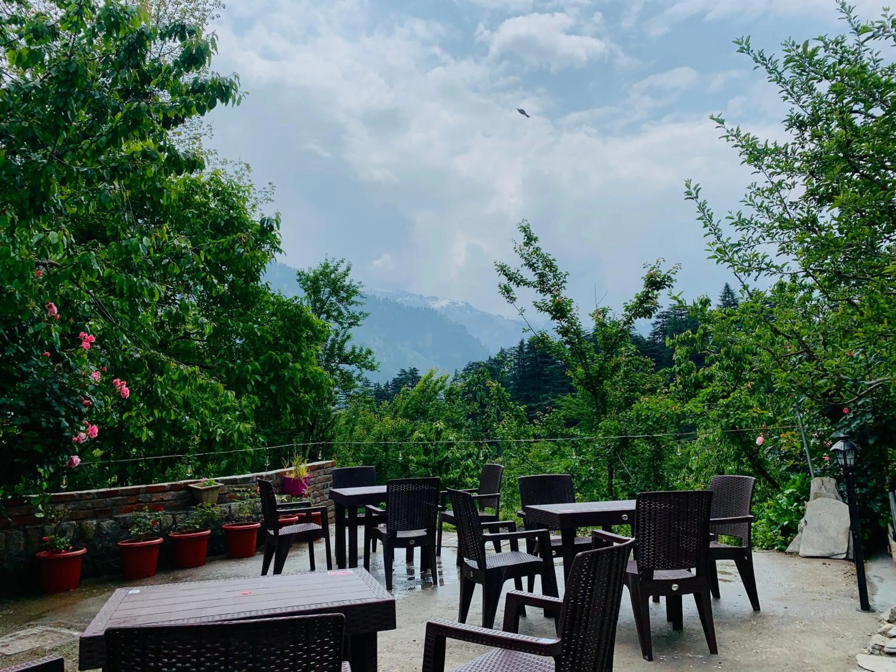 Patio in Jungle by sturmfrei Manali