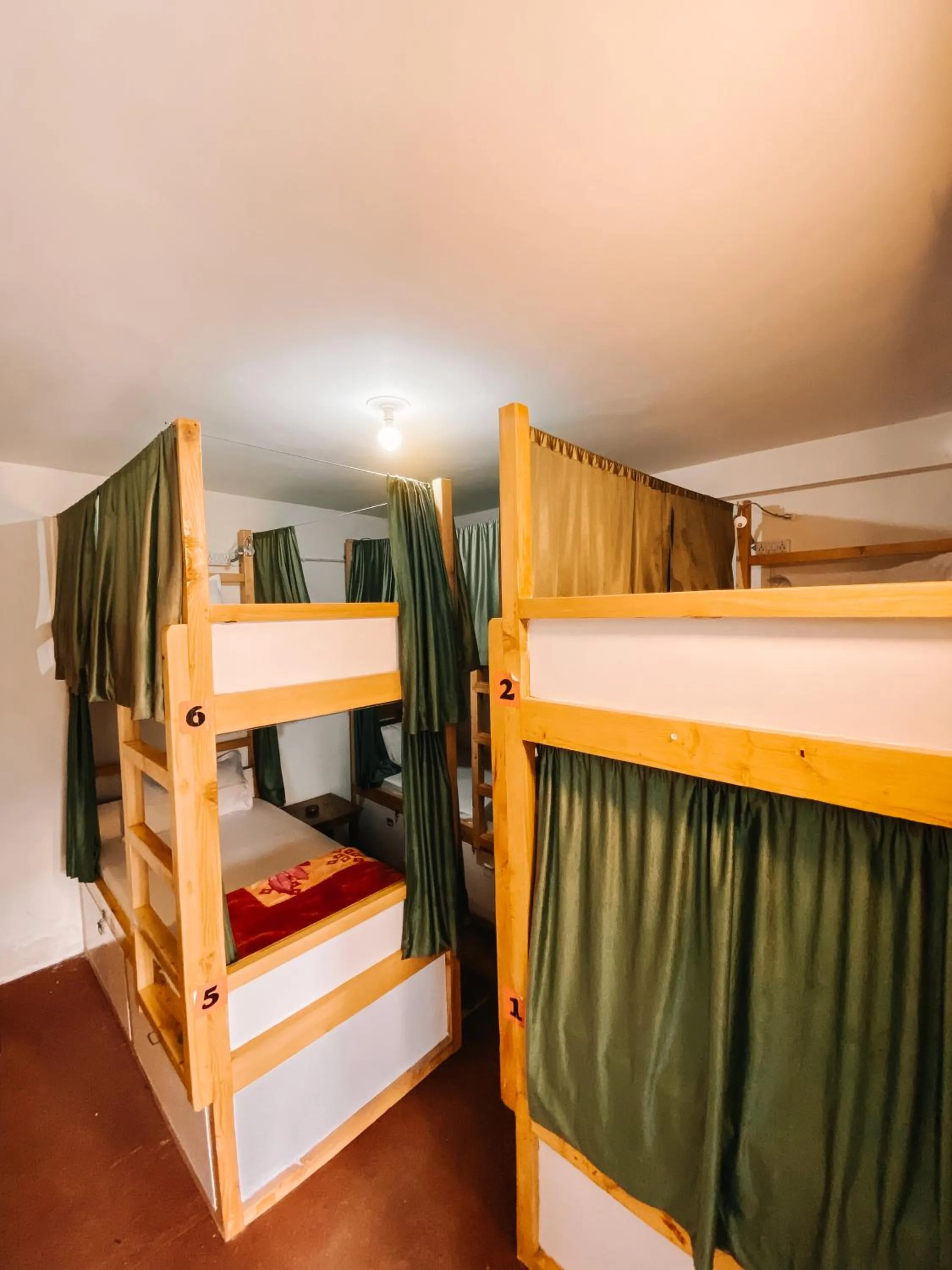 bunk bed, Bed in Jungle by sturmfrei Manali