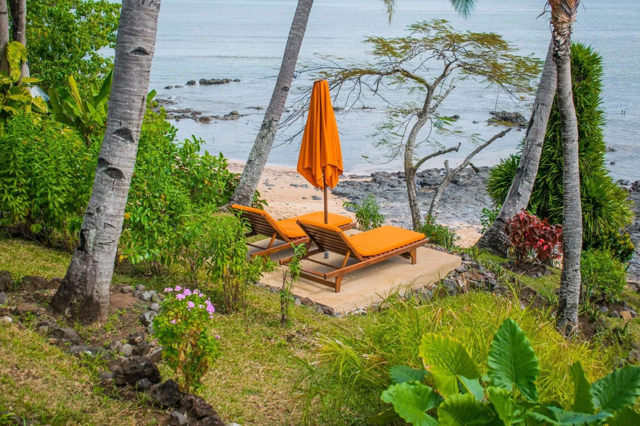 Natural landscape in Vanila Hotel & Spa