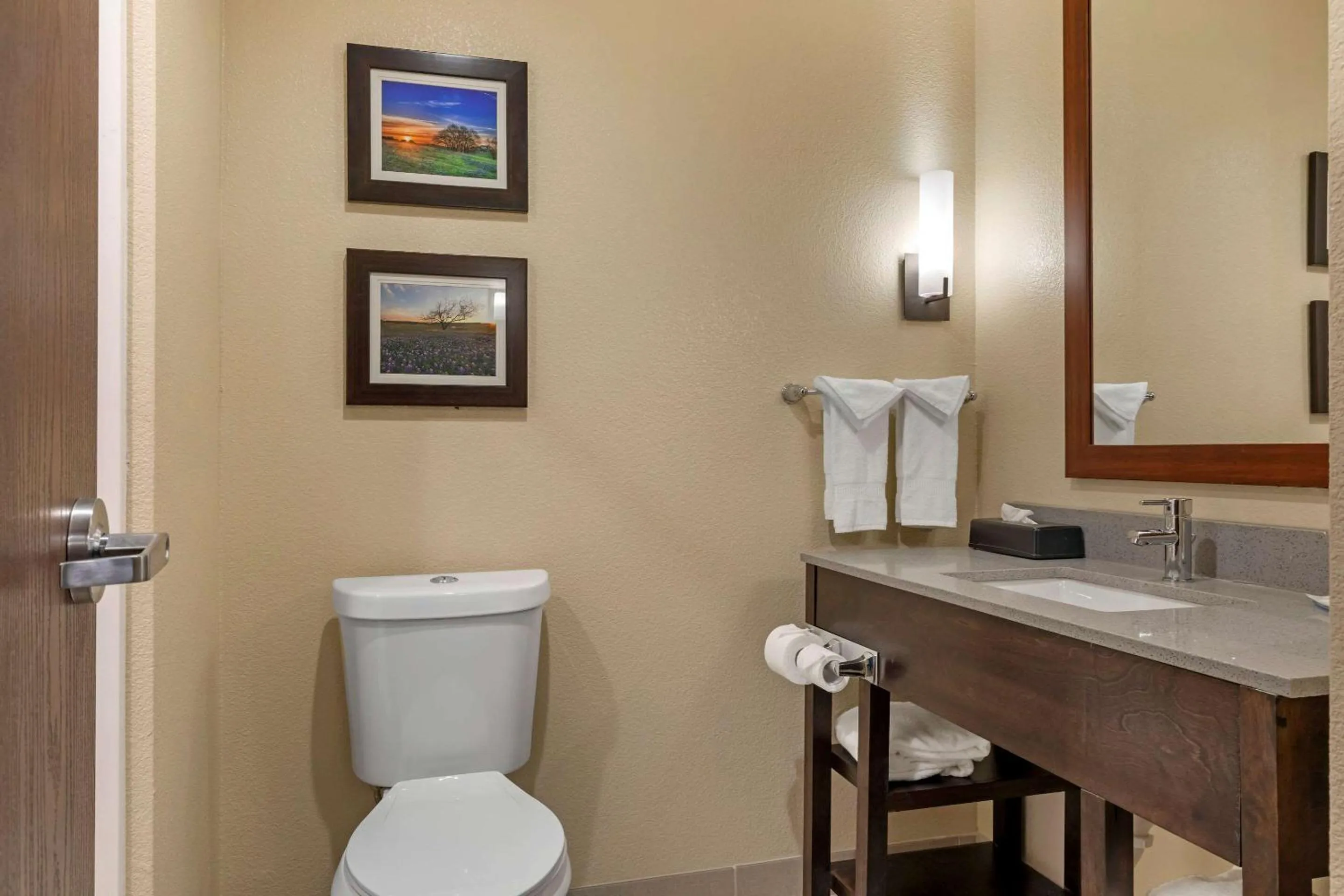 Toilet in Comfort Inn & Suites Euless DFW West