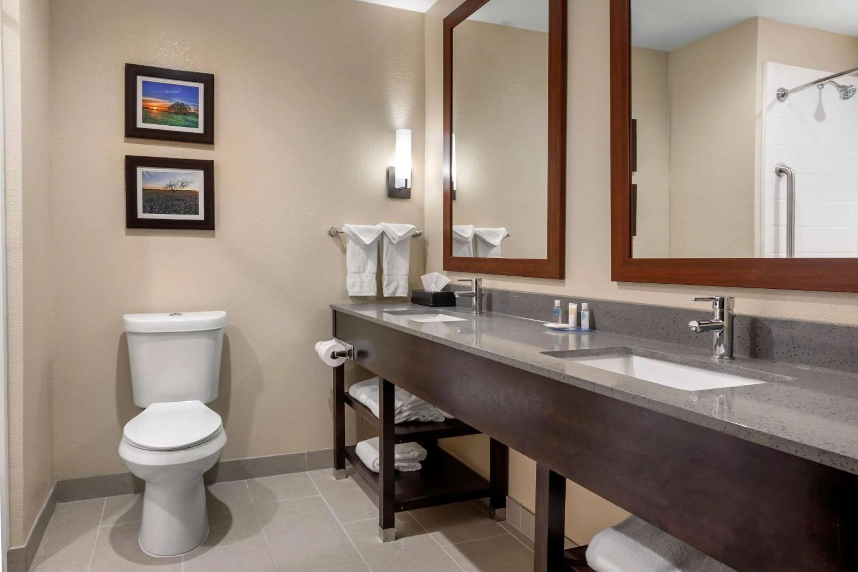 Toilet in Comfort Inn & Suites Euless DFW West