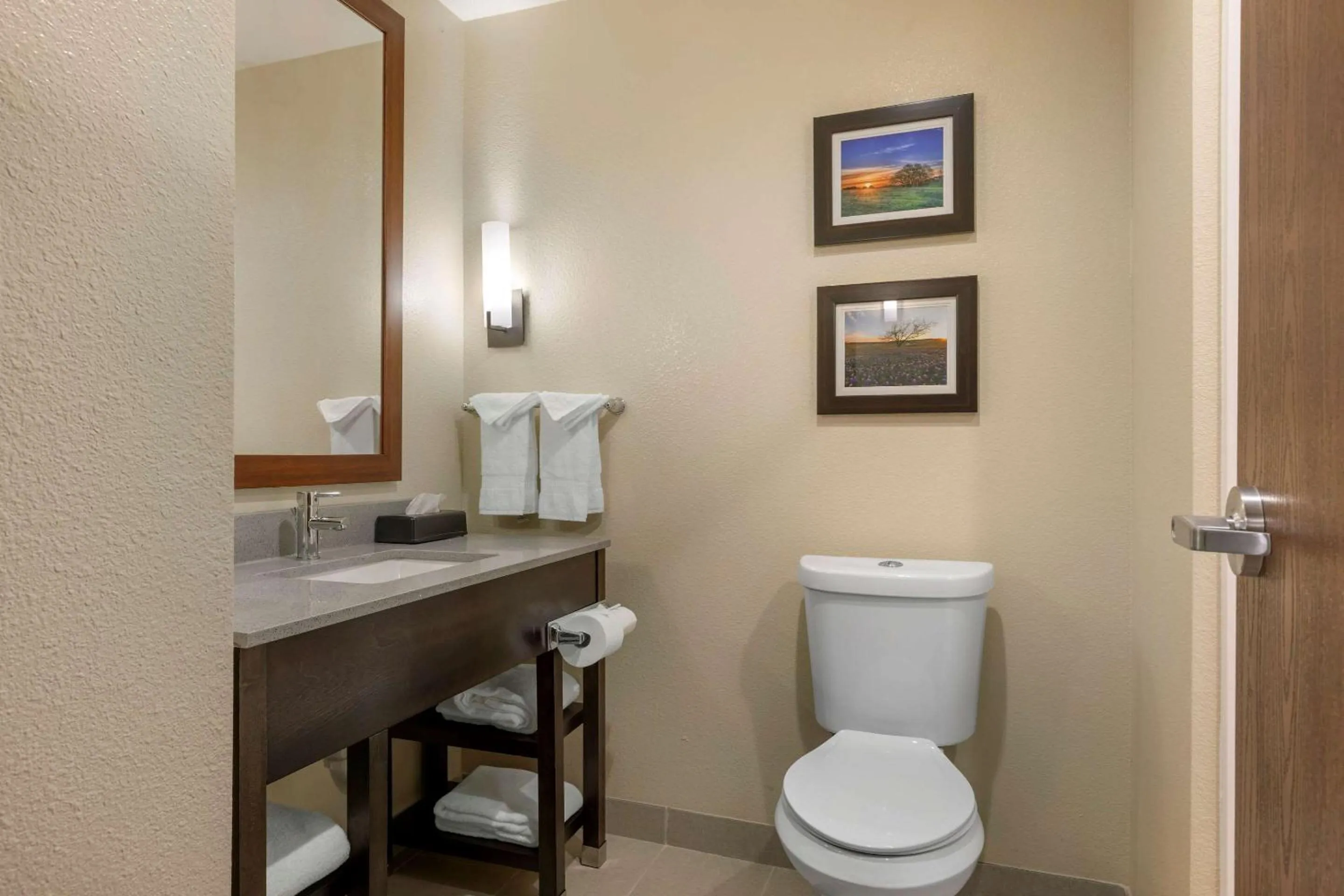 Toilet in Comfort Inn & Suites Euless DFW West