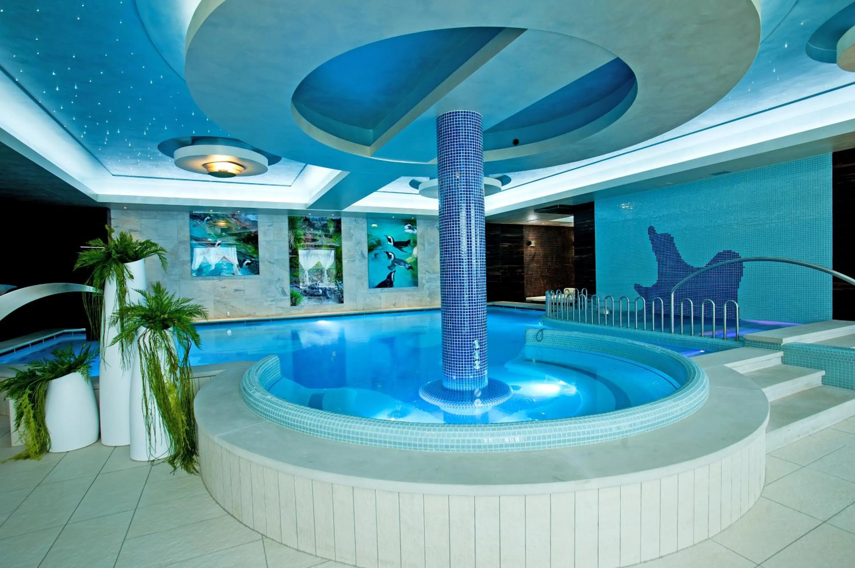 Swimming pool in Hotel & SPA Czarny Groń