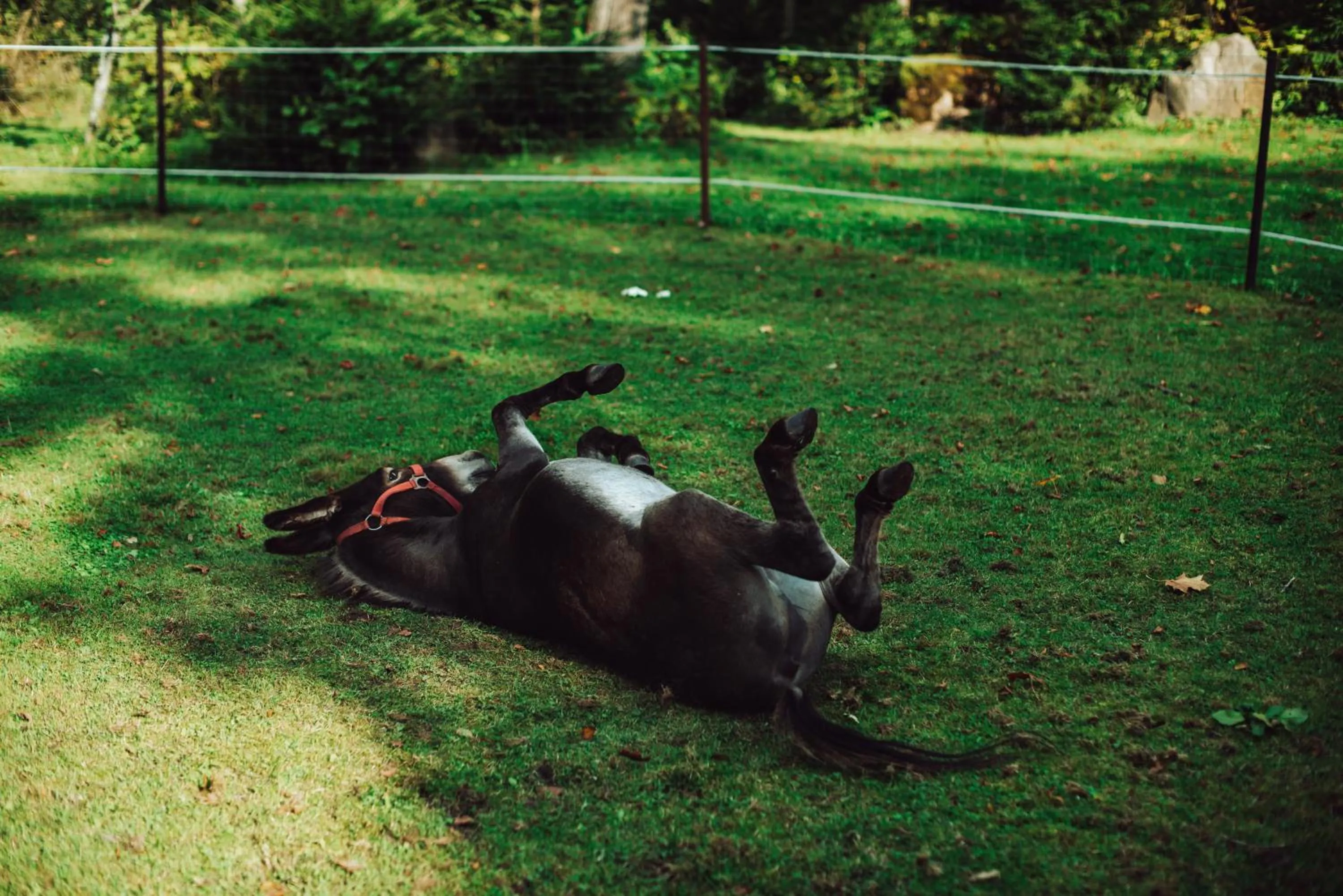 Taujėnų dvaro svečių namai